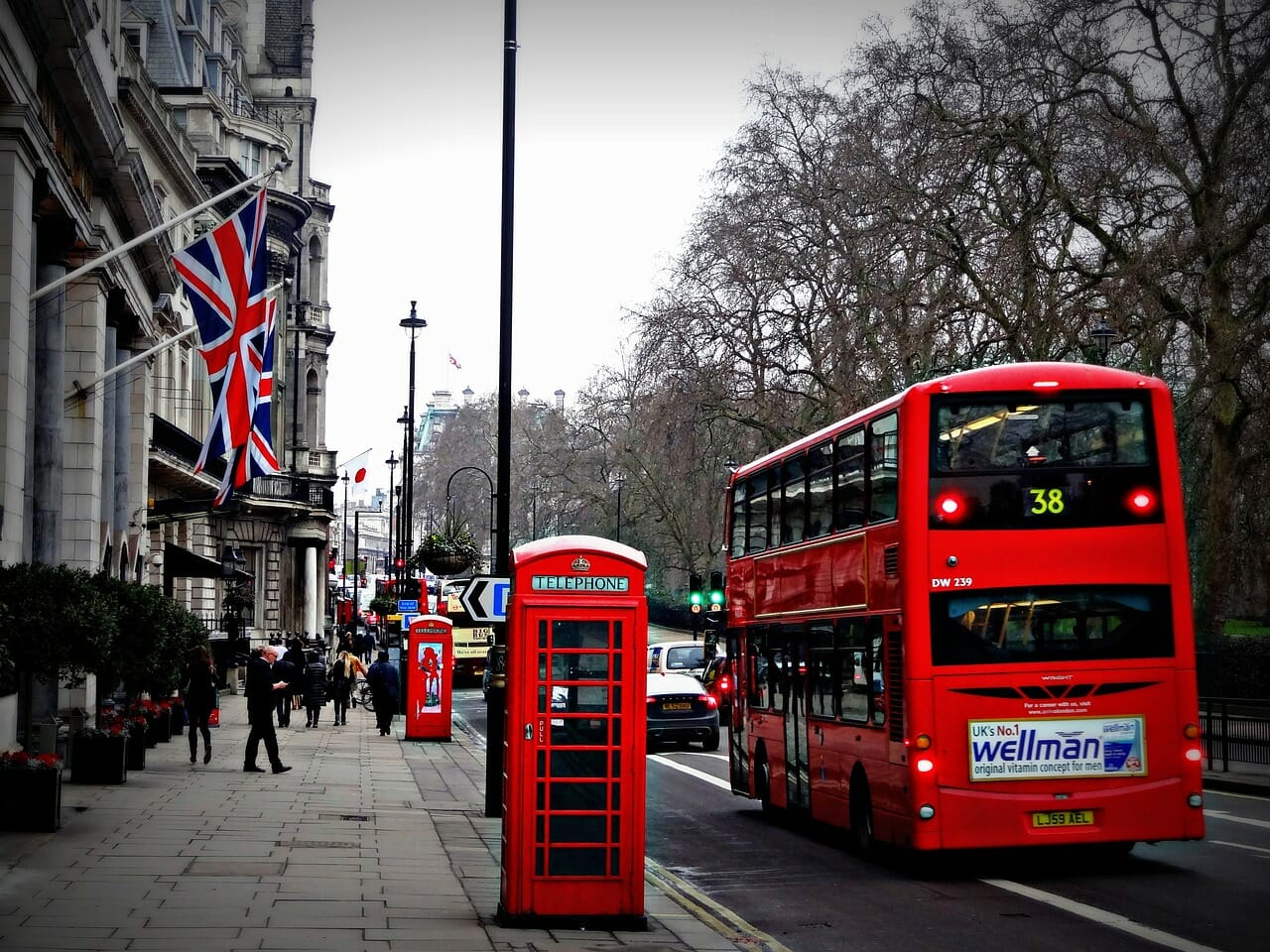 Why is London spared by Cockroaches?