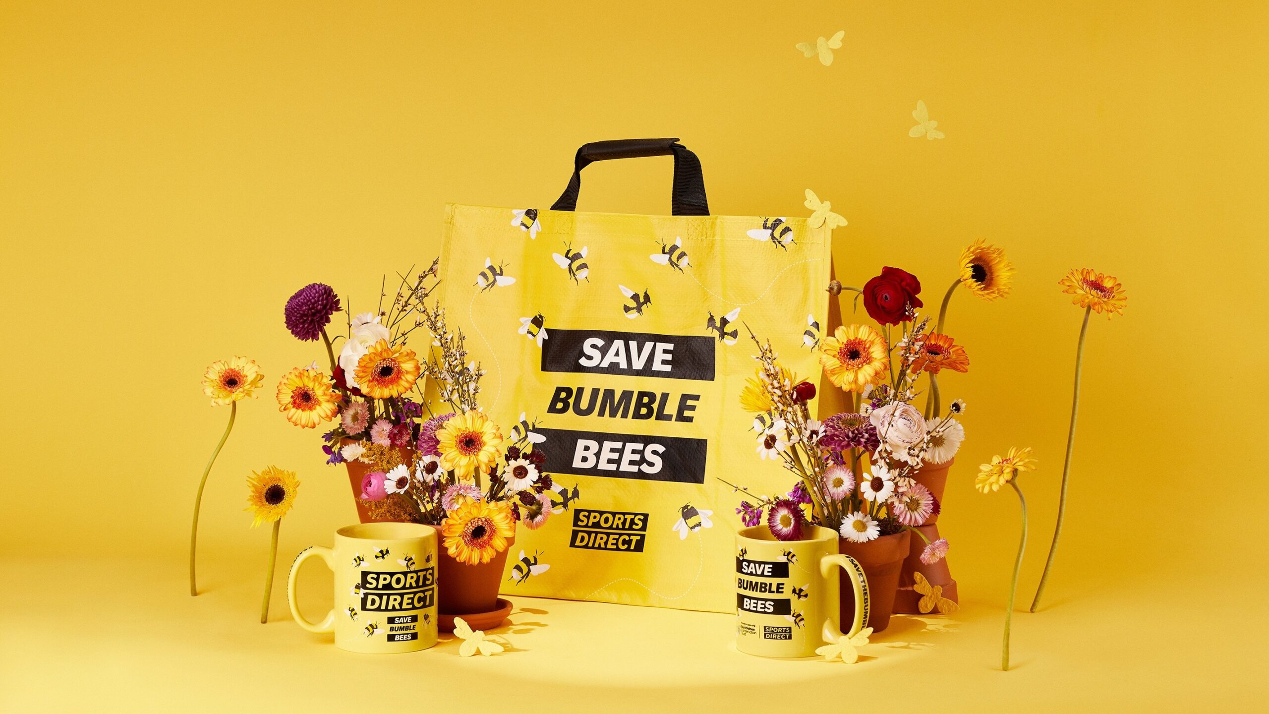 Harry Redknapp urges Great British sports fans to save the bumblebees