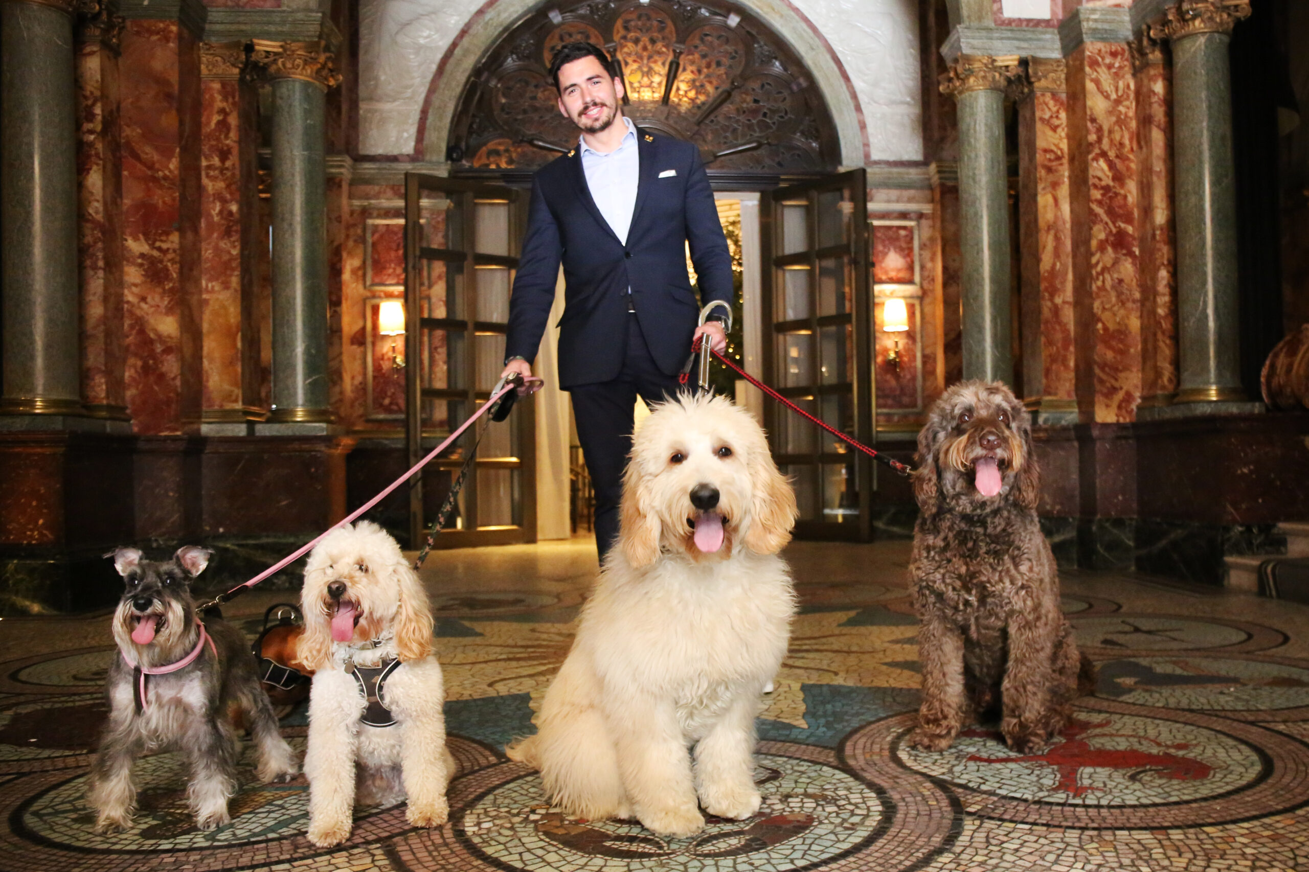Celebrate International Dog Day with Pooch Portraits at Kimpton Fitzroy London