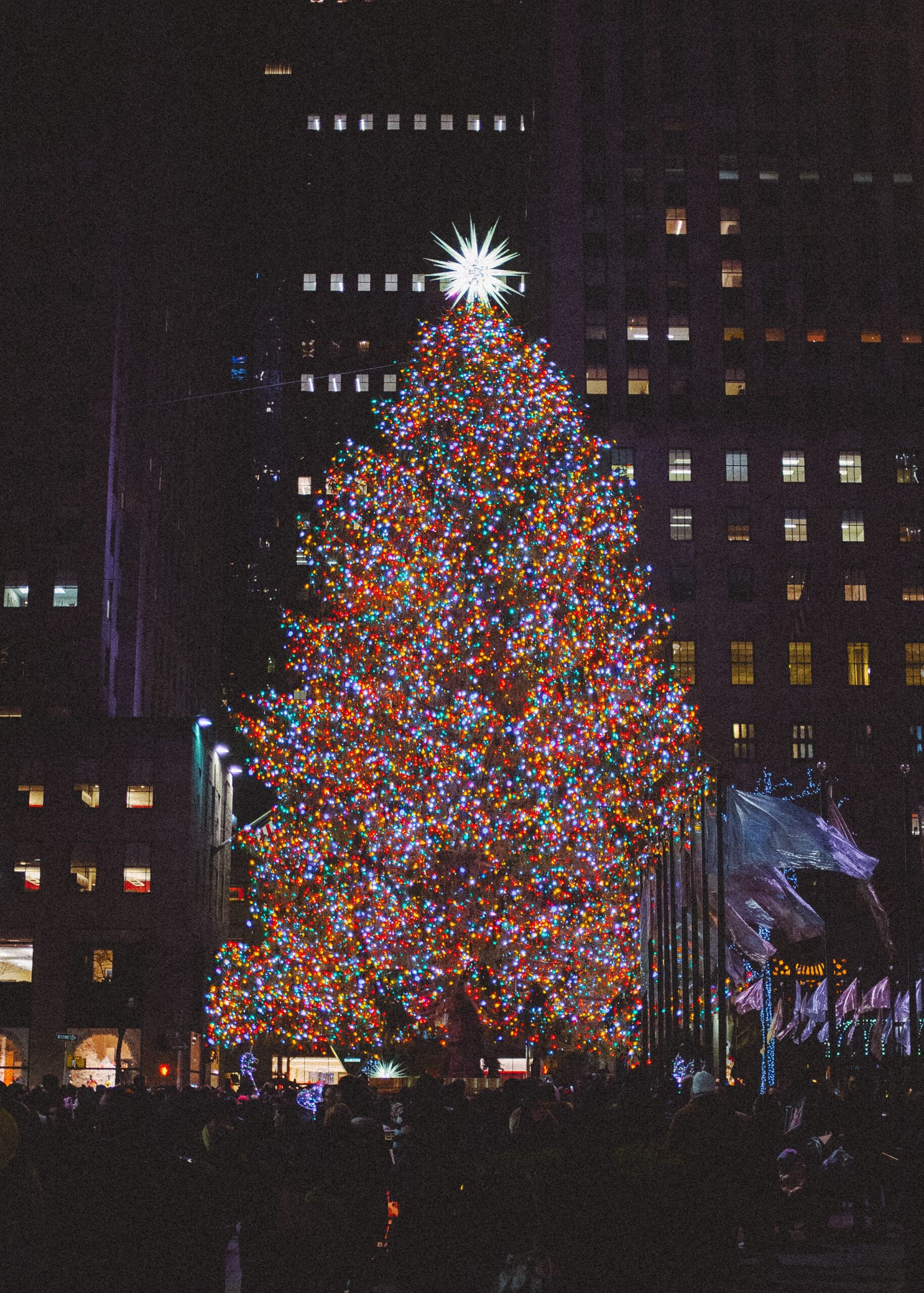 The world's most famous Christmas trees and the logistics behind their