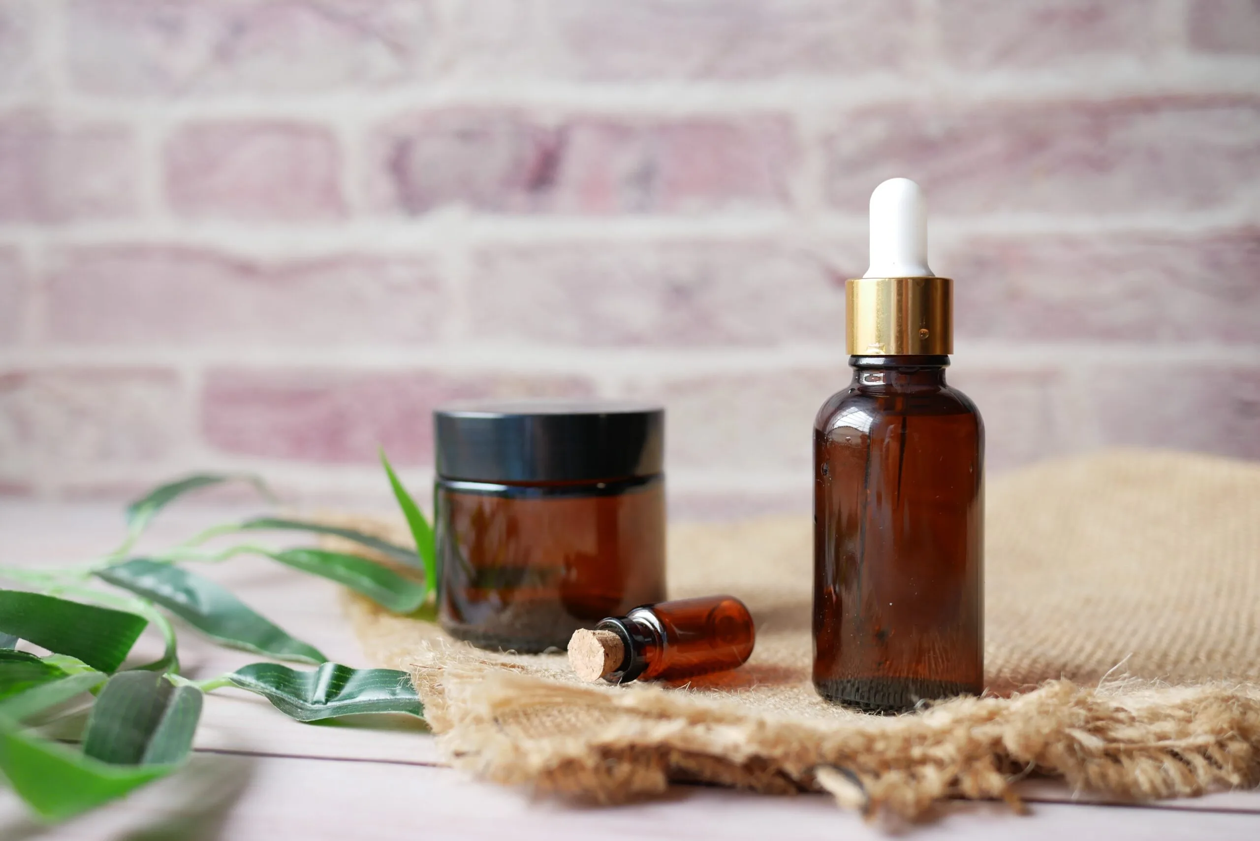 Comprehensive Handbook on Using Essential Oils for Cats