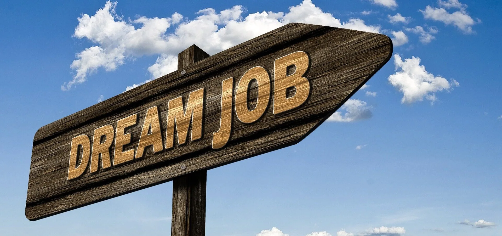 Six Steps to Maximising Job Search Success
