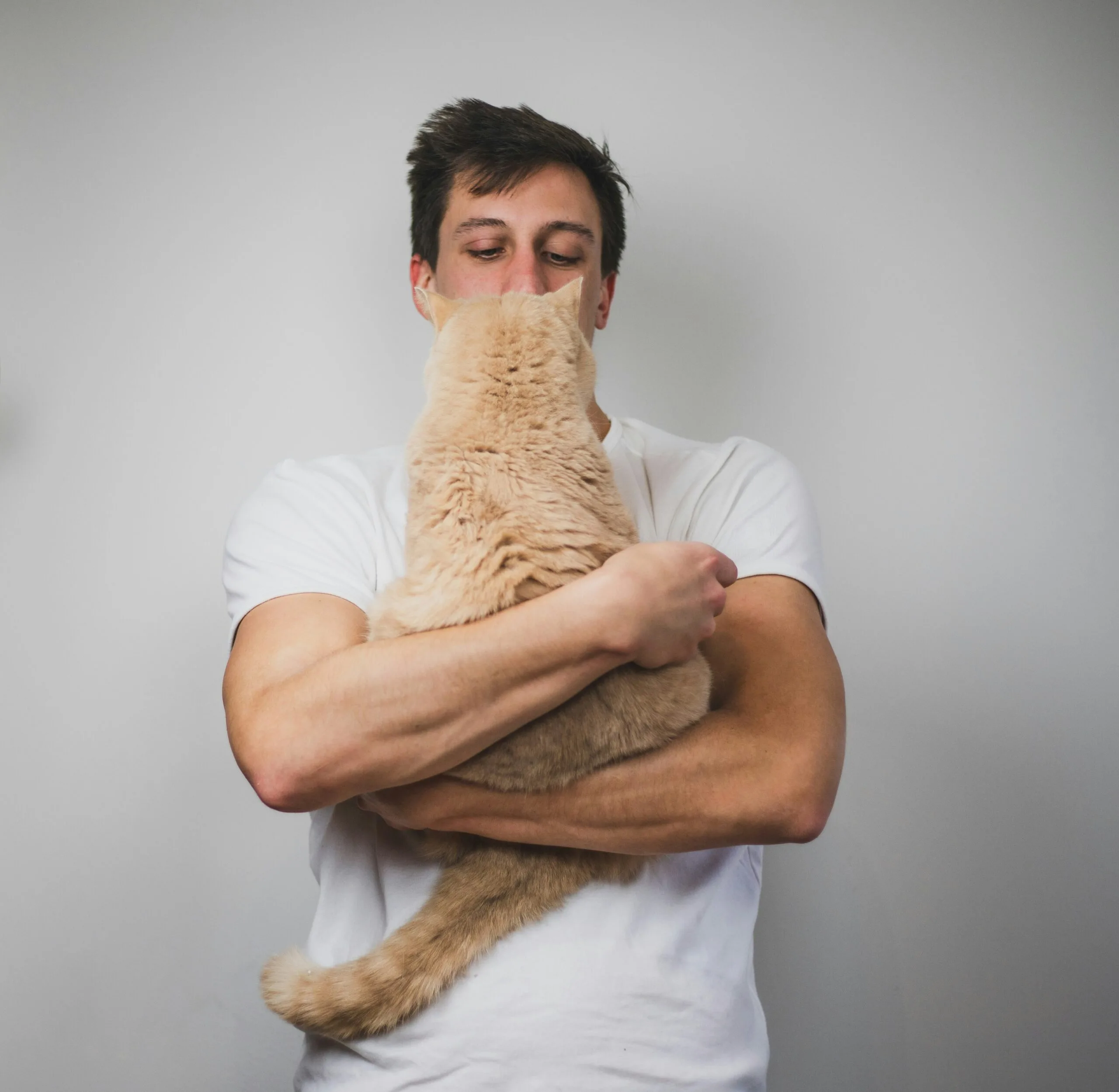 Paw-some new pet population data released by UK Pet Food: Report reveals that more men are adopting adult cats