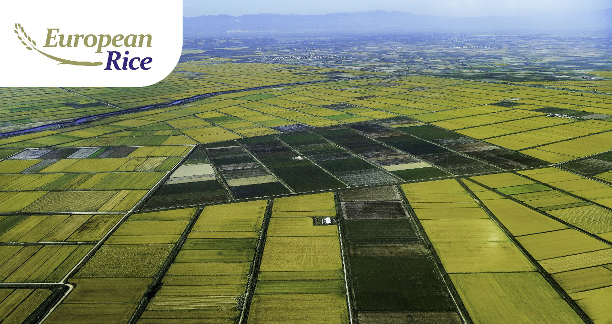 European Rice is delighted to announce that it will be exhibiting at ...