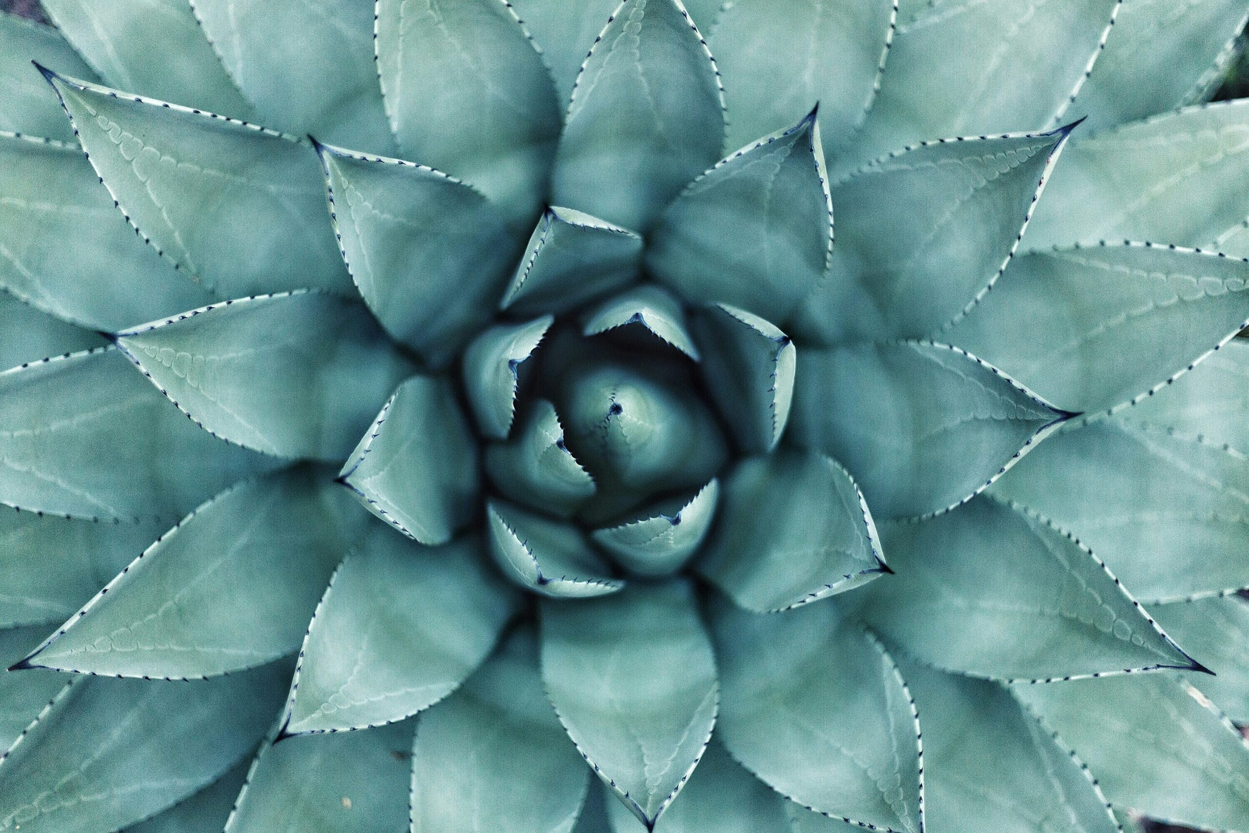 Best wellness clinics in London: Top spots for mind-body rejuvenation
