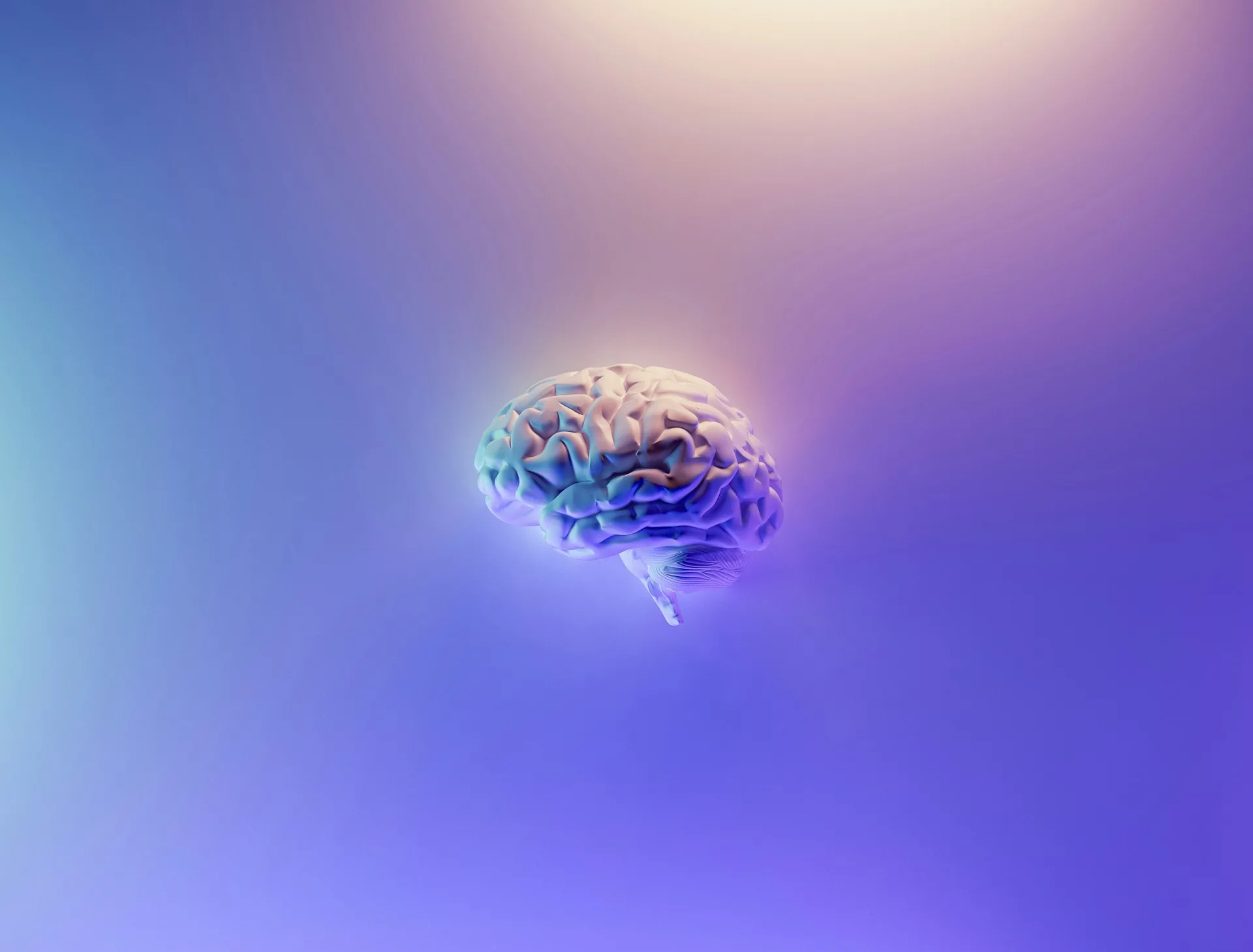 Our top 5 games for sharper brains