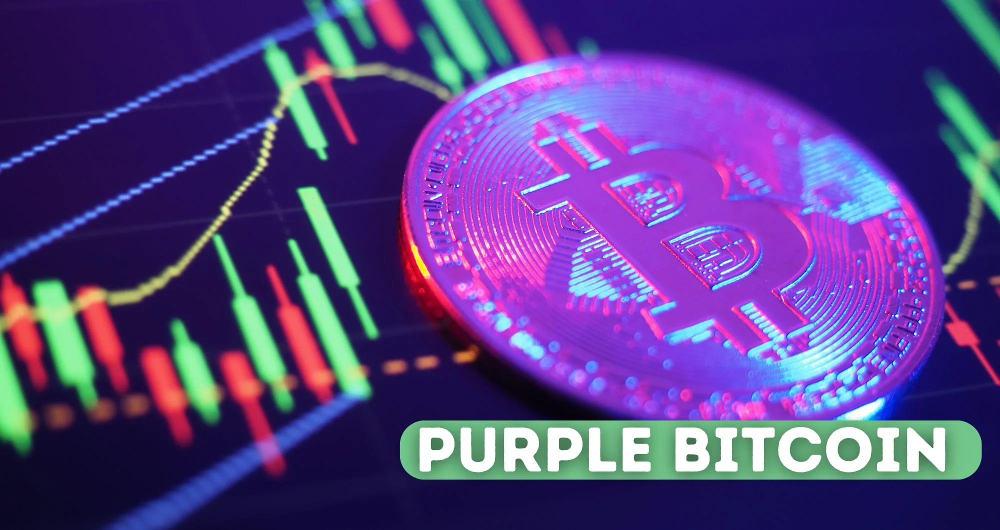 What is purple bitcoin? | London Daily News