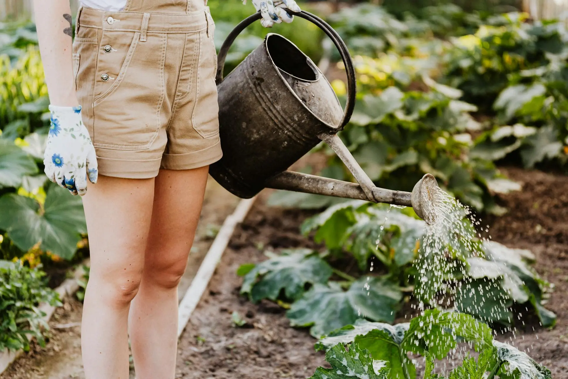 King Charles’ senior gardener reveals must-do jobs this August to correctly prepare your garden for Autumn