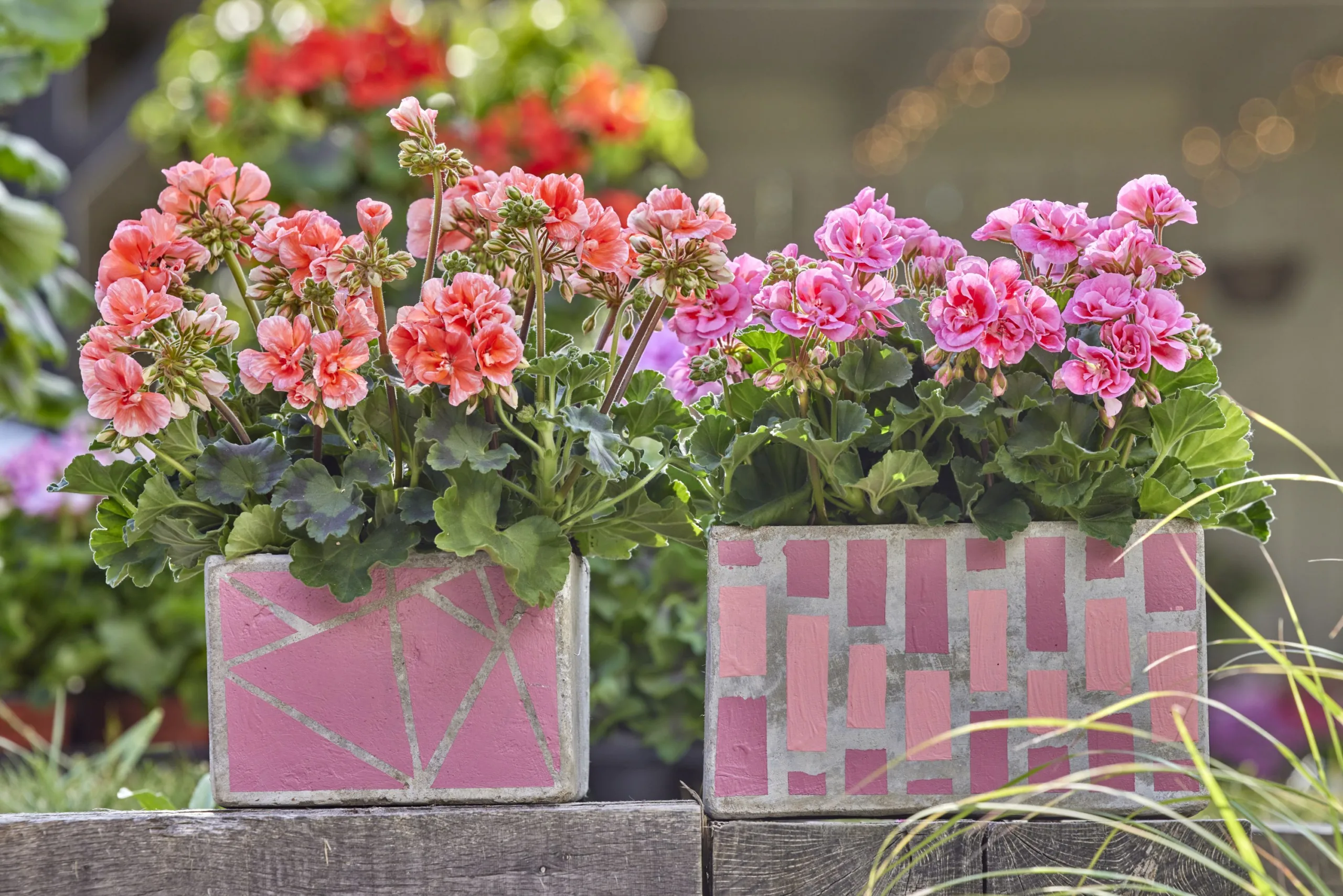 Craft projects for houseplant lovers | London Daily News