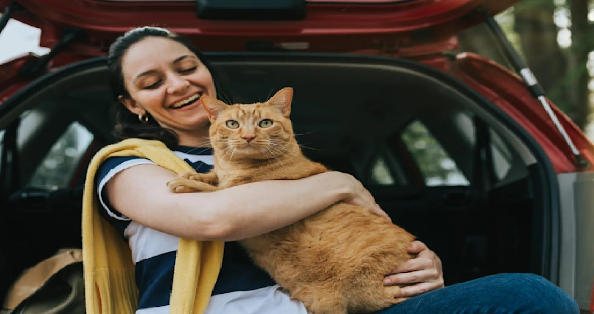 How to travel with a cat in 2024