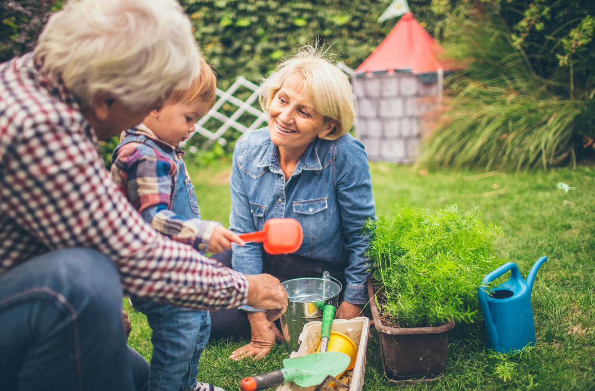 Celebrate ‘Grandparents Day’ with gardening tips from u3a!