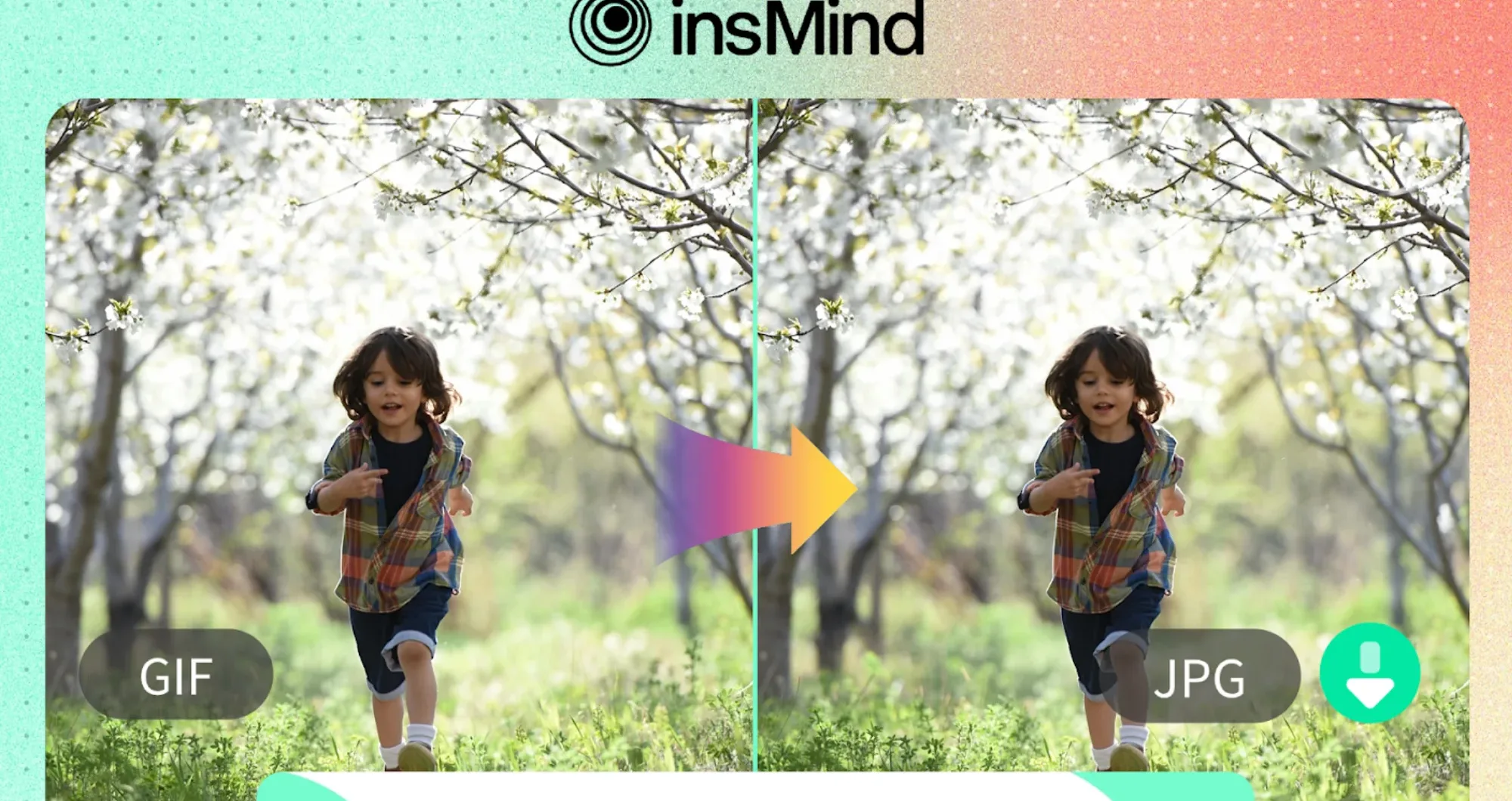 Effortless GIF to JPG Convert in a click London Daily News
