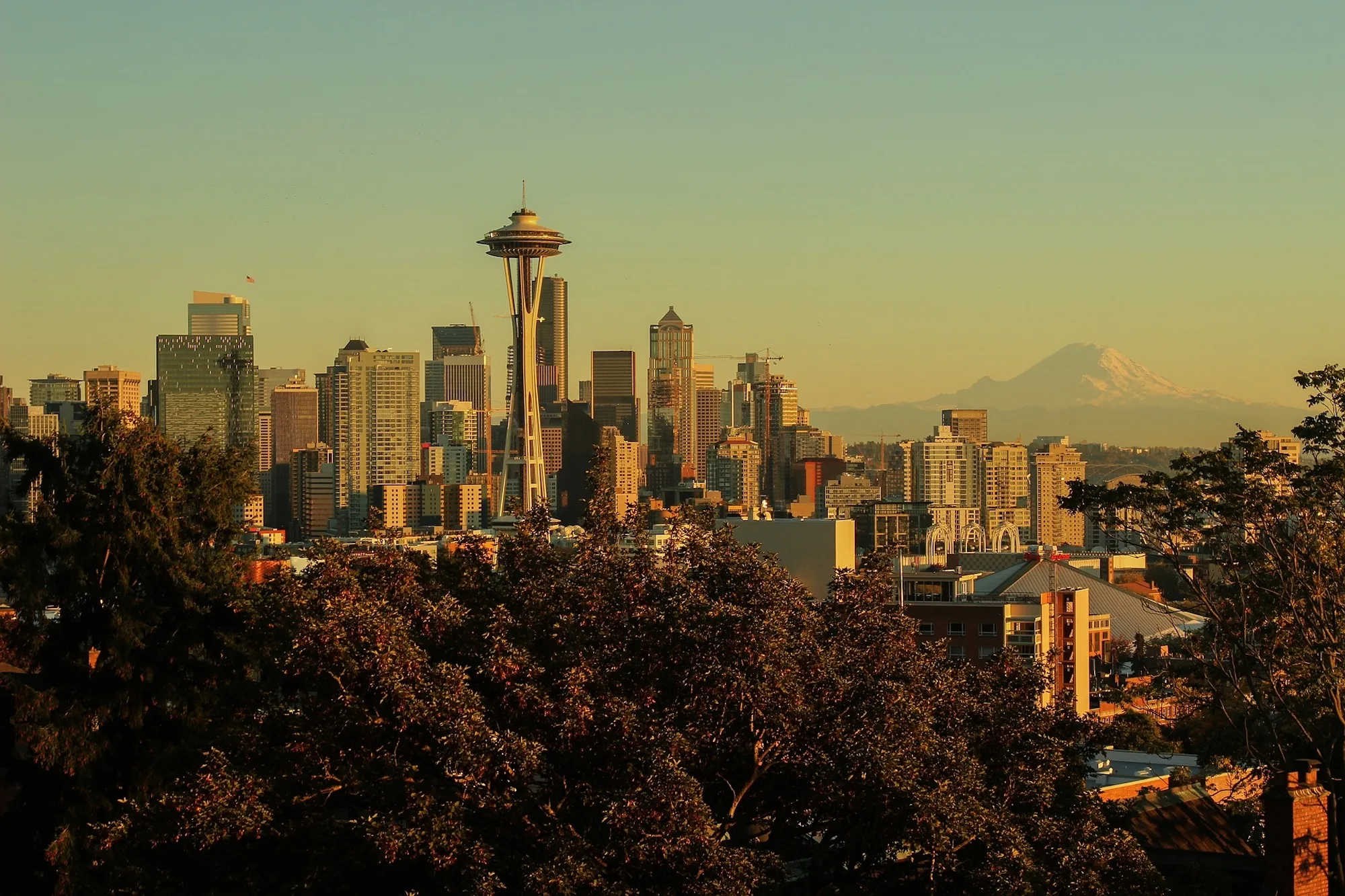 Black Limo Service Seattle to explore Seattle city top parks – 2024