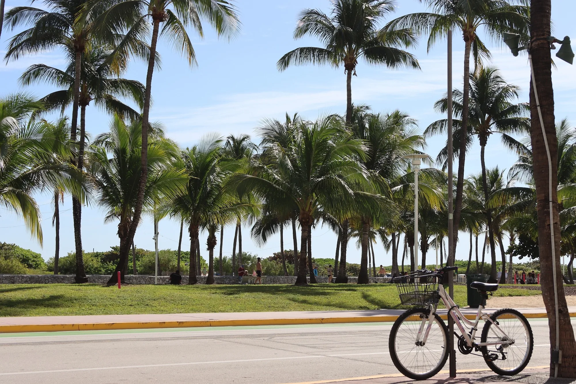 The role of Car Service Miami in enhancing city tours