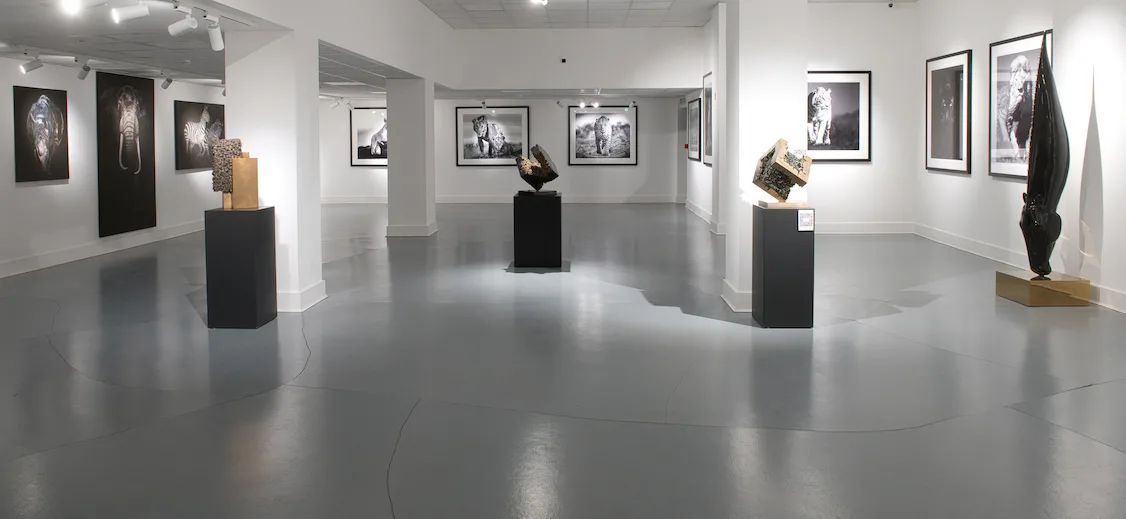 Miart Gallery London presents ‘CONVERGENCE’ featuring award-winning German wildlife photographer Lars Beusker and Italian painter Giusy Rampini