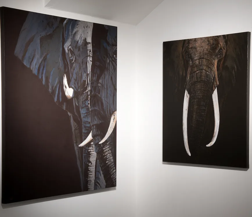Miart Gallery London Presents ‘CONVERGENCE’ featuring Award-winning German Wildlife Photographer Lars Beusker and Italian Painter Giusy Rampini