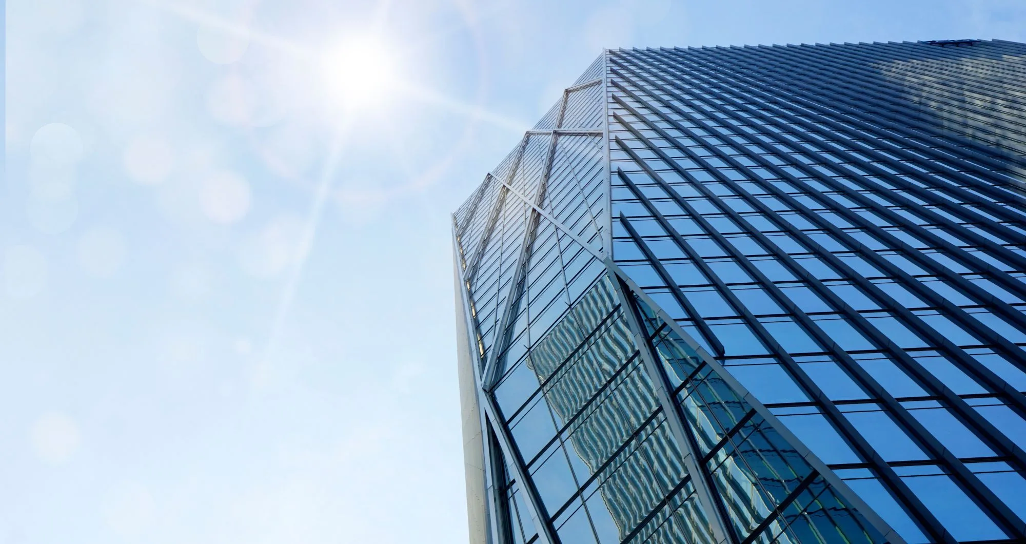 Top Business Process Outsourcing (BPO) companies in 2025
