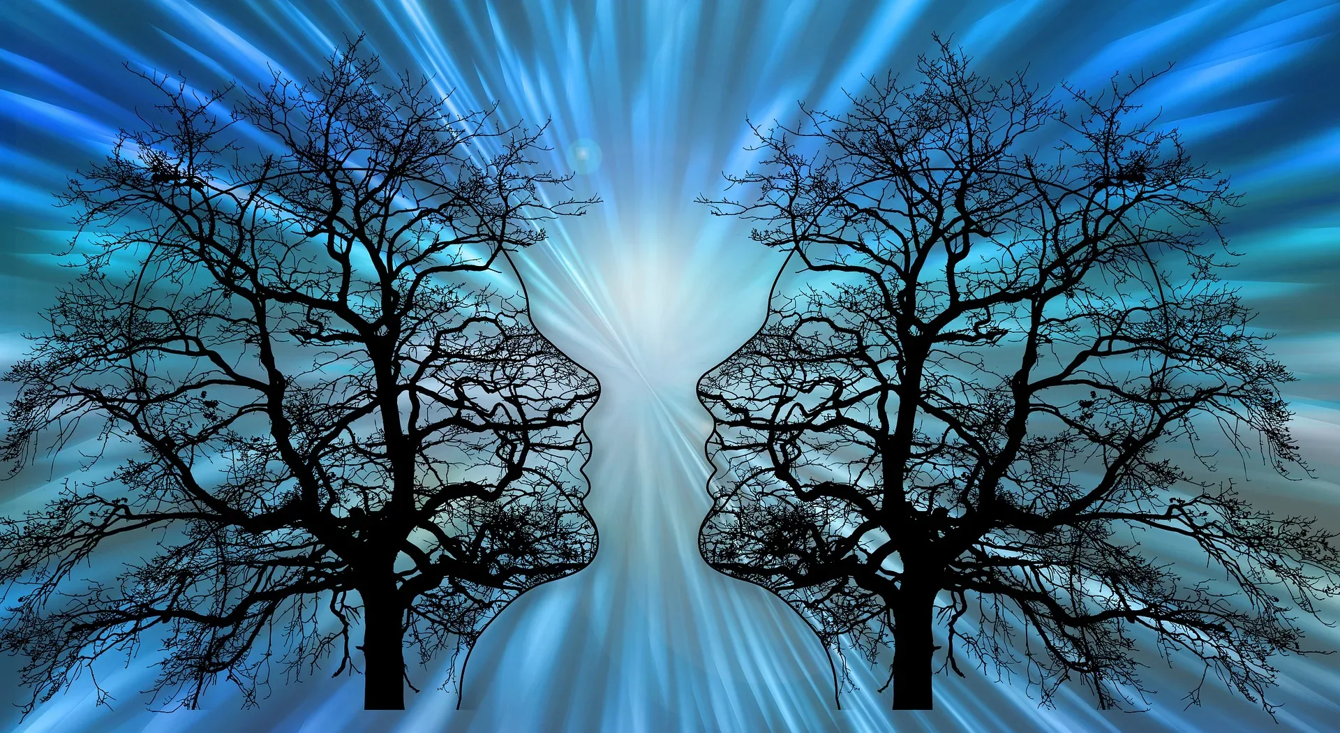 Safety first: The importance of hiring certified tree removal experts