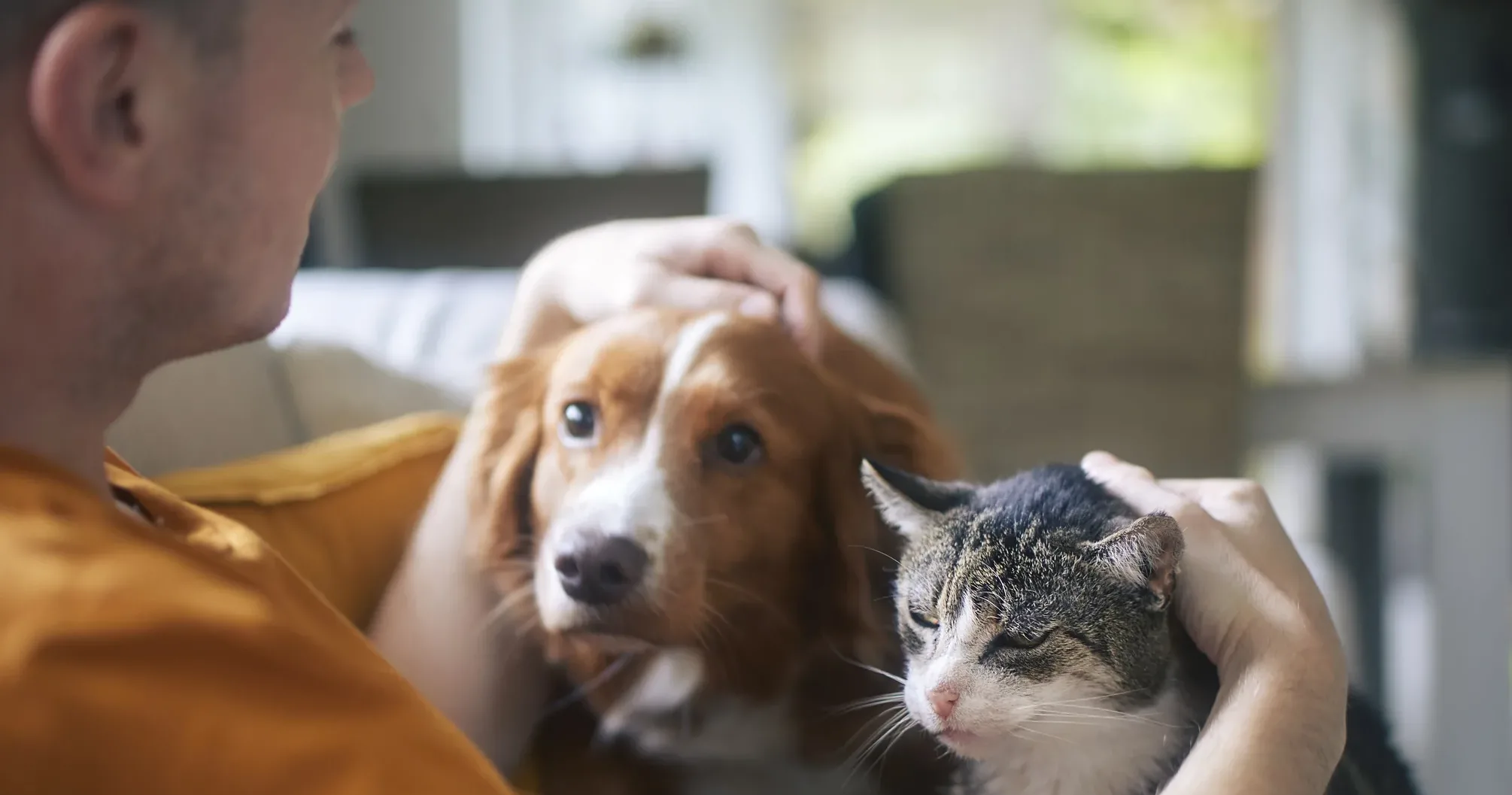 UK pet owners spent over £1,450 on their dogs and cats in 2024