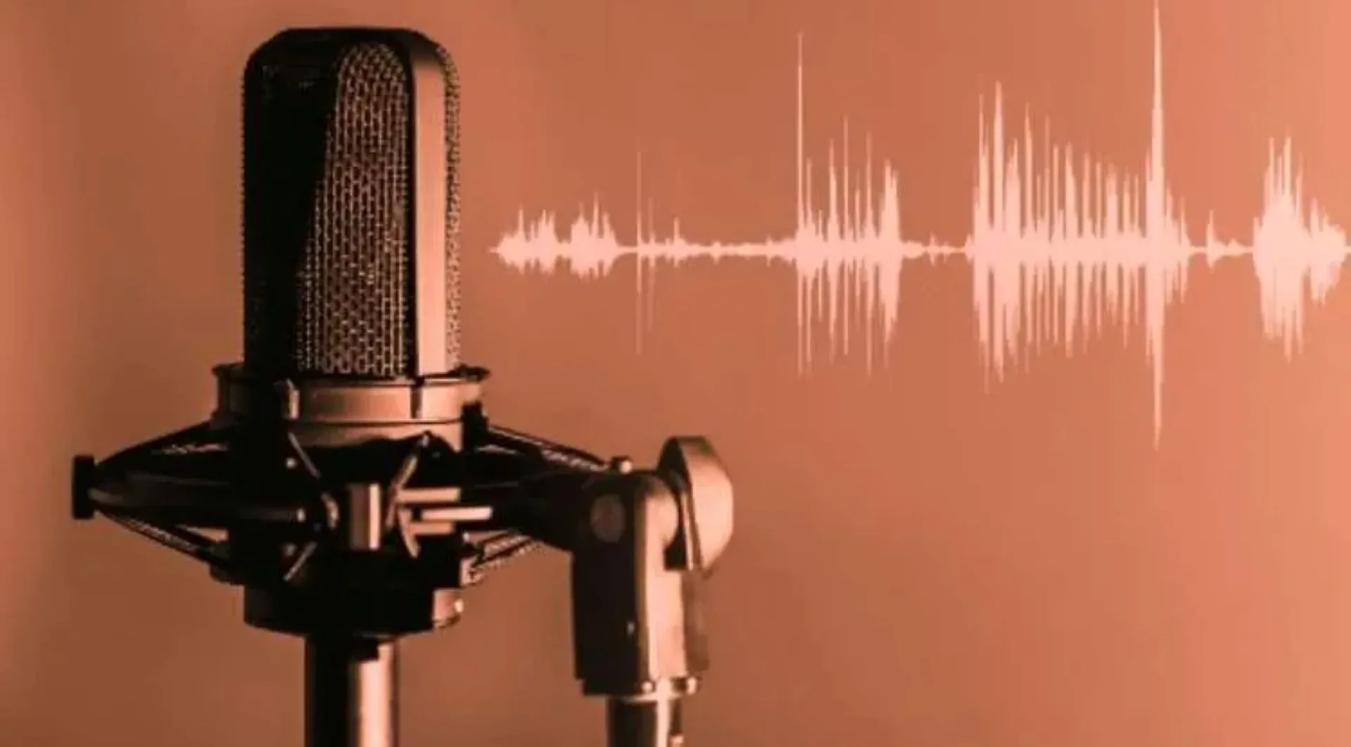 Targeted: A podcast review — The Jonathan Taylor case and the shadow of Interpol’s systemic vulnerabilities