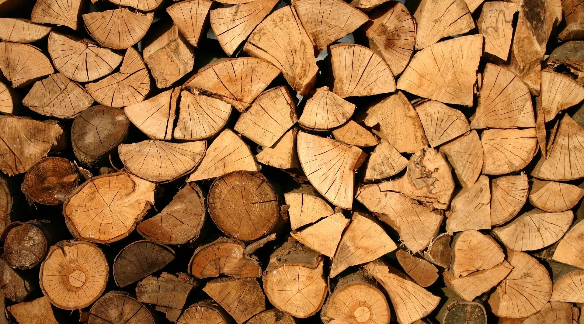 Getting Britain building – structural timber businesses are investing in the high-skill jobs of the future