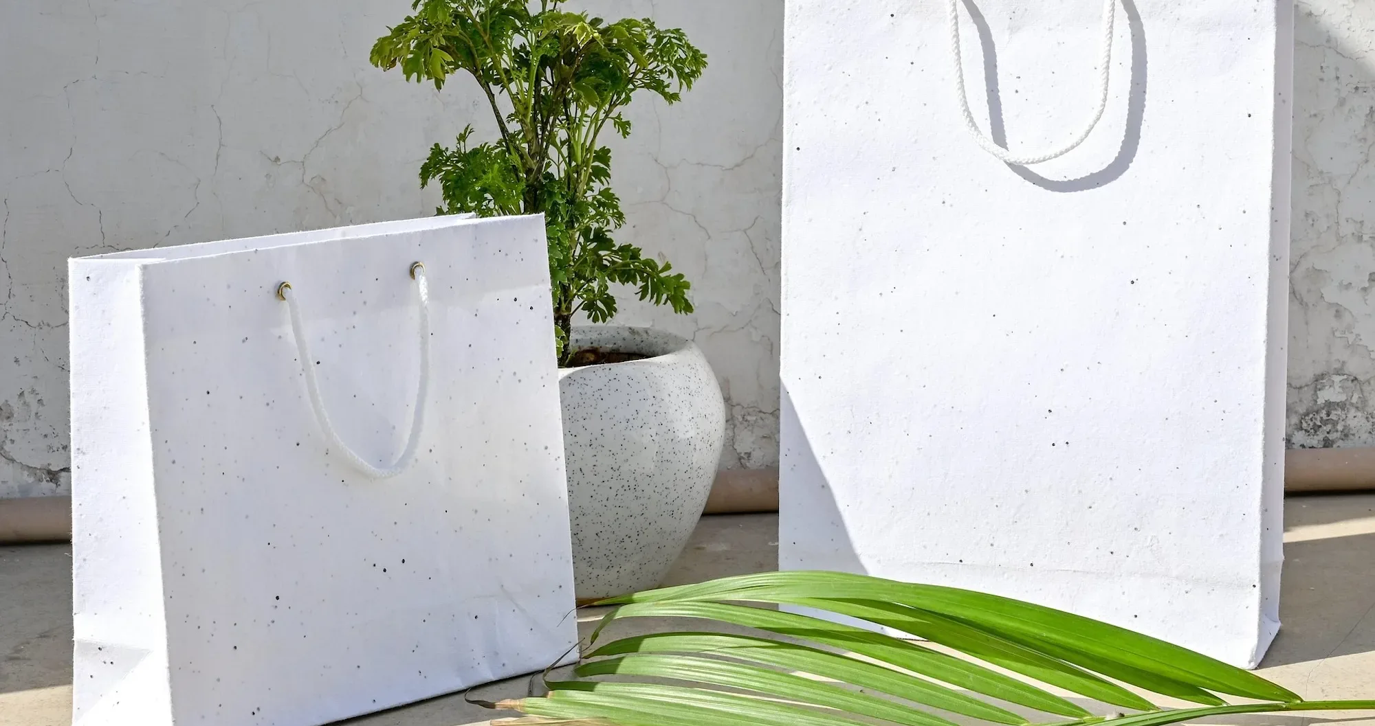 Sustainable packaging industry set for rapid growth worldwide