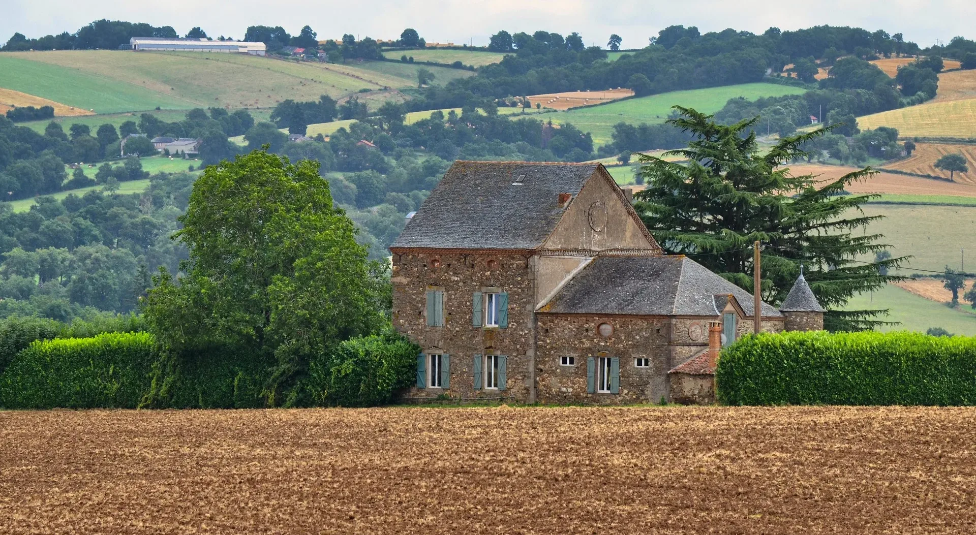 Have you ever dreamt of living in Surrey?