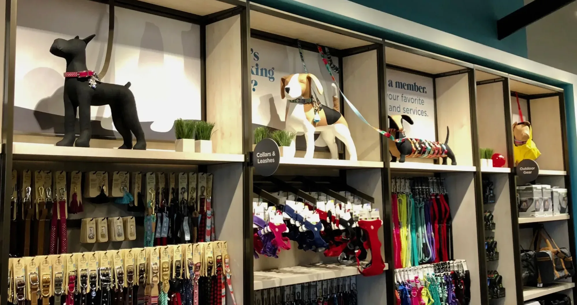 How to dress your dog in stylish clothes