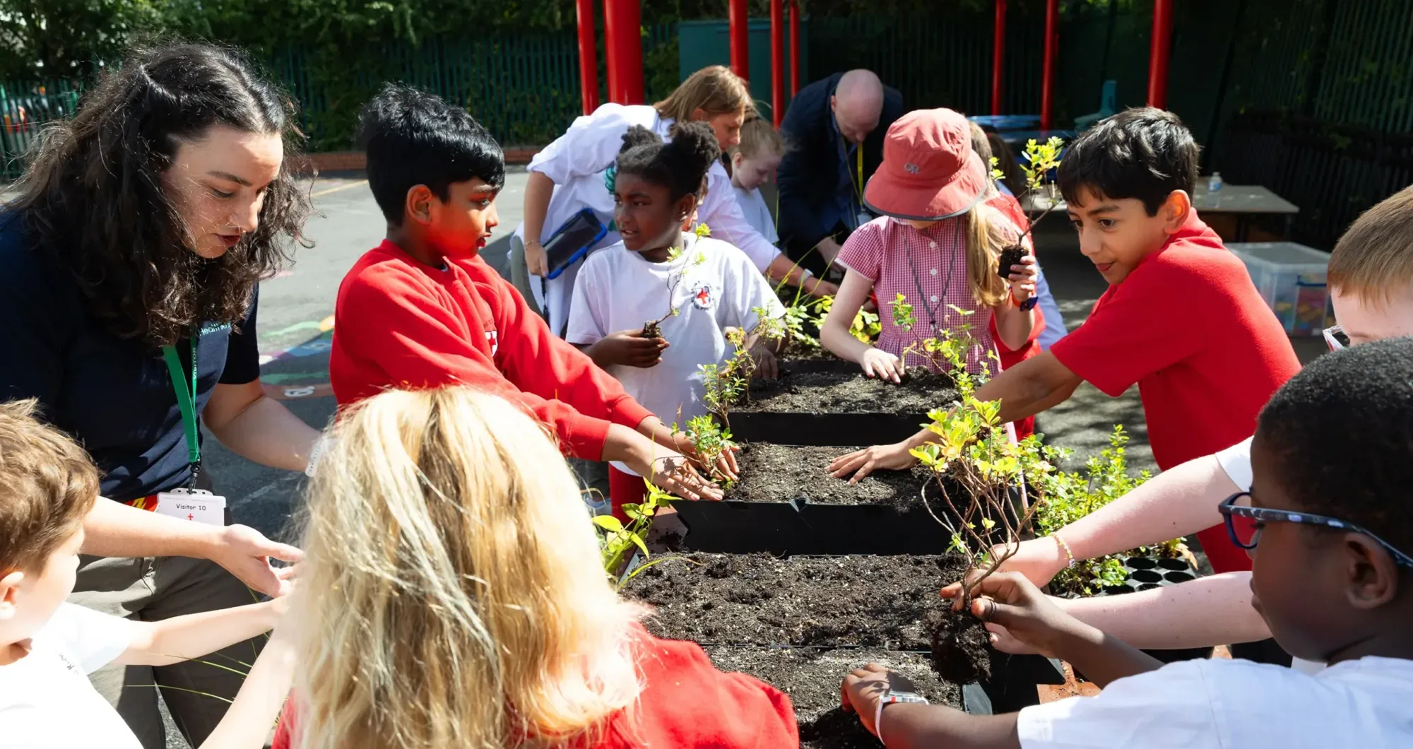 New living wall to bring nature into the playground at Brent Primary School