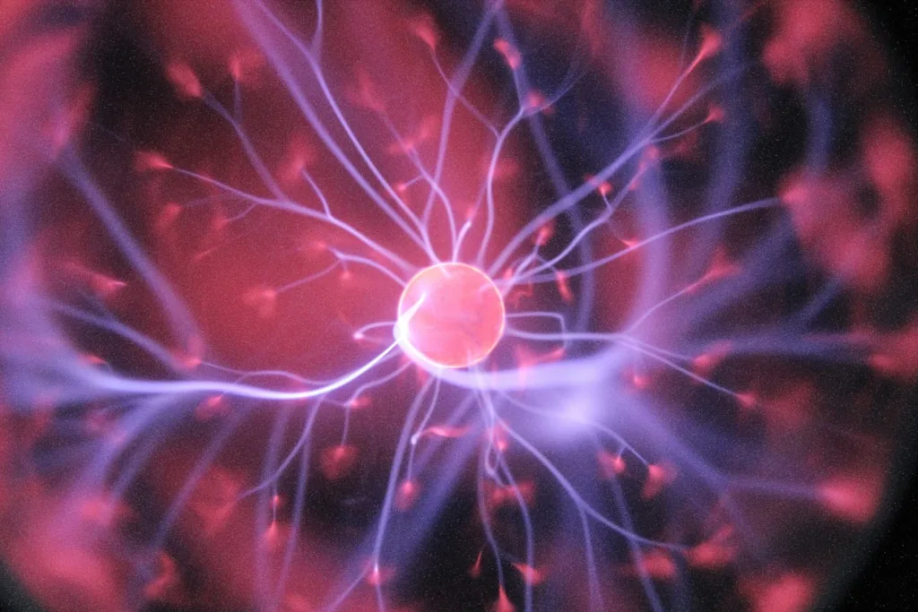The best cognitive supplements to boost mental performance