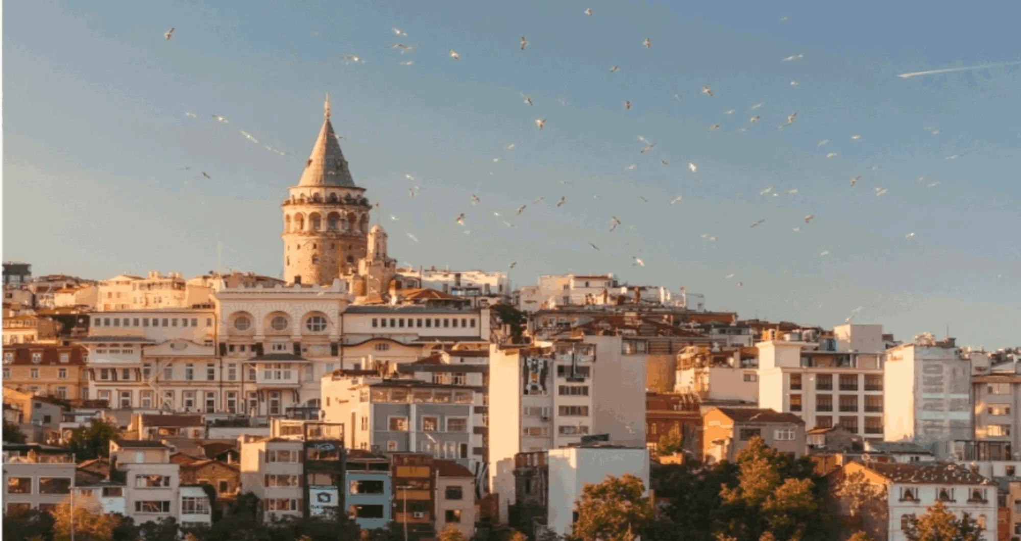 Istanbul’s nightlife scene: Where the locals go after dark