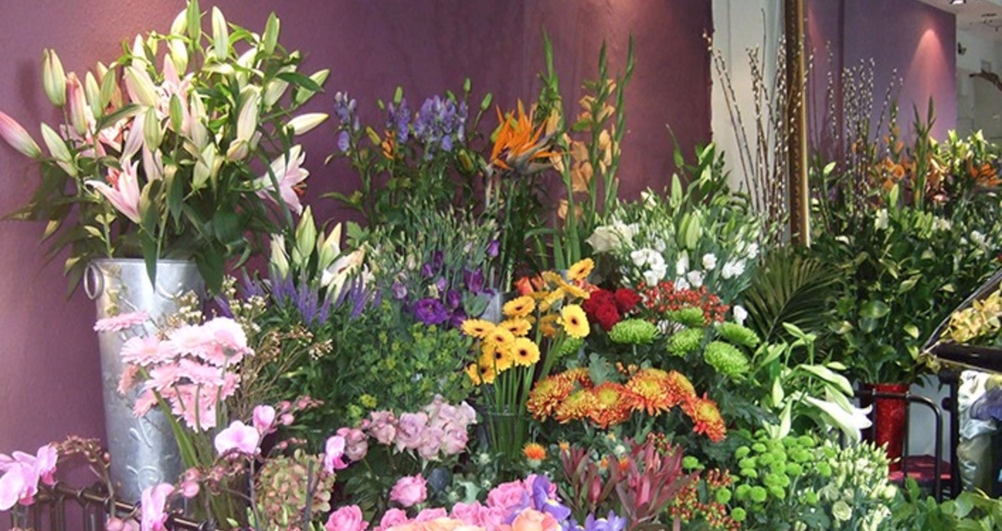 The beauty of longevity: Why Londoners are choosing Toronto flowers that last