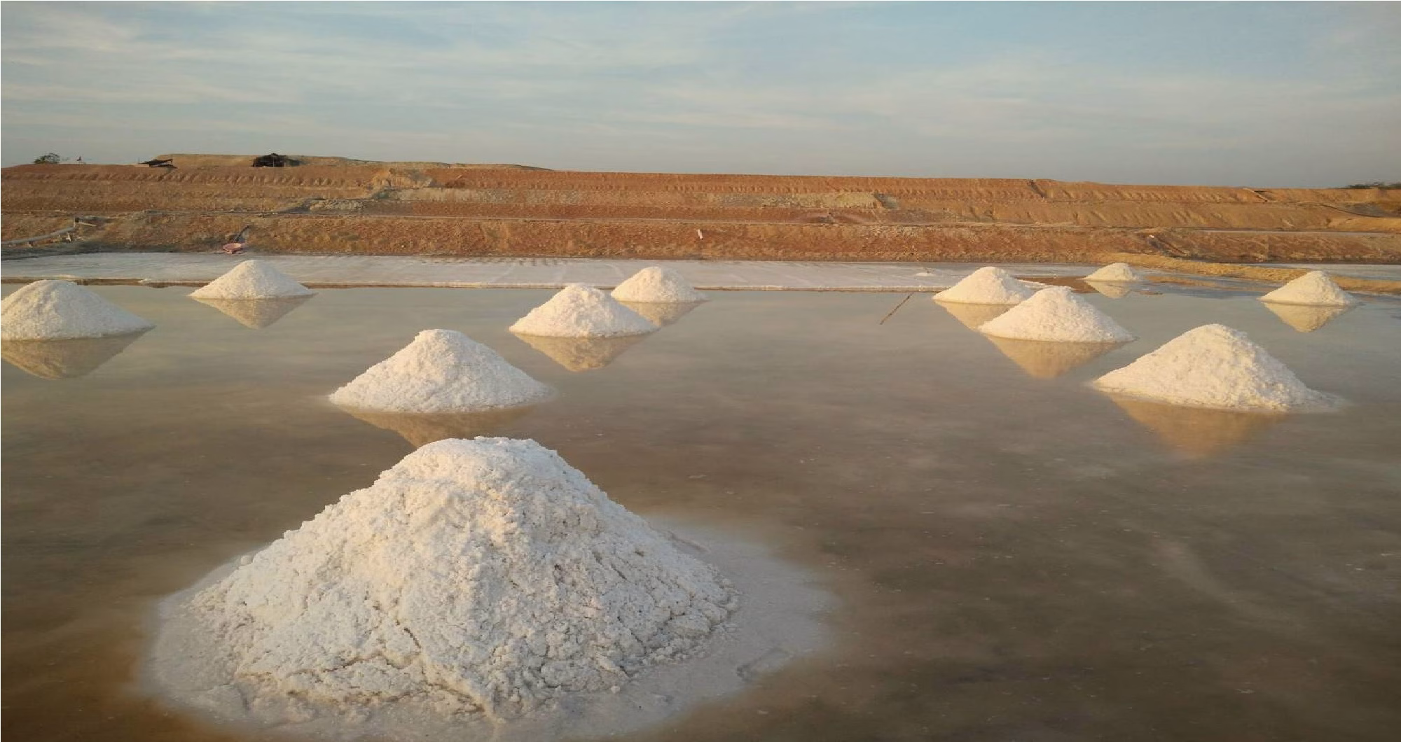 Global salt market trends: What buyers and brands need to watch