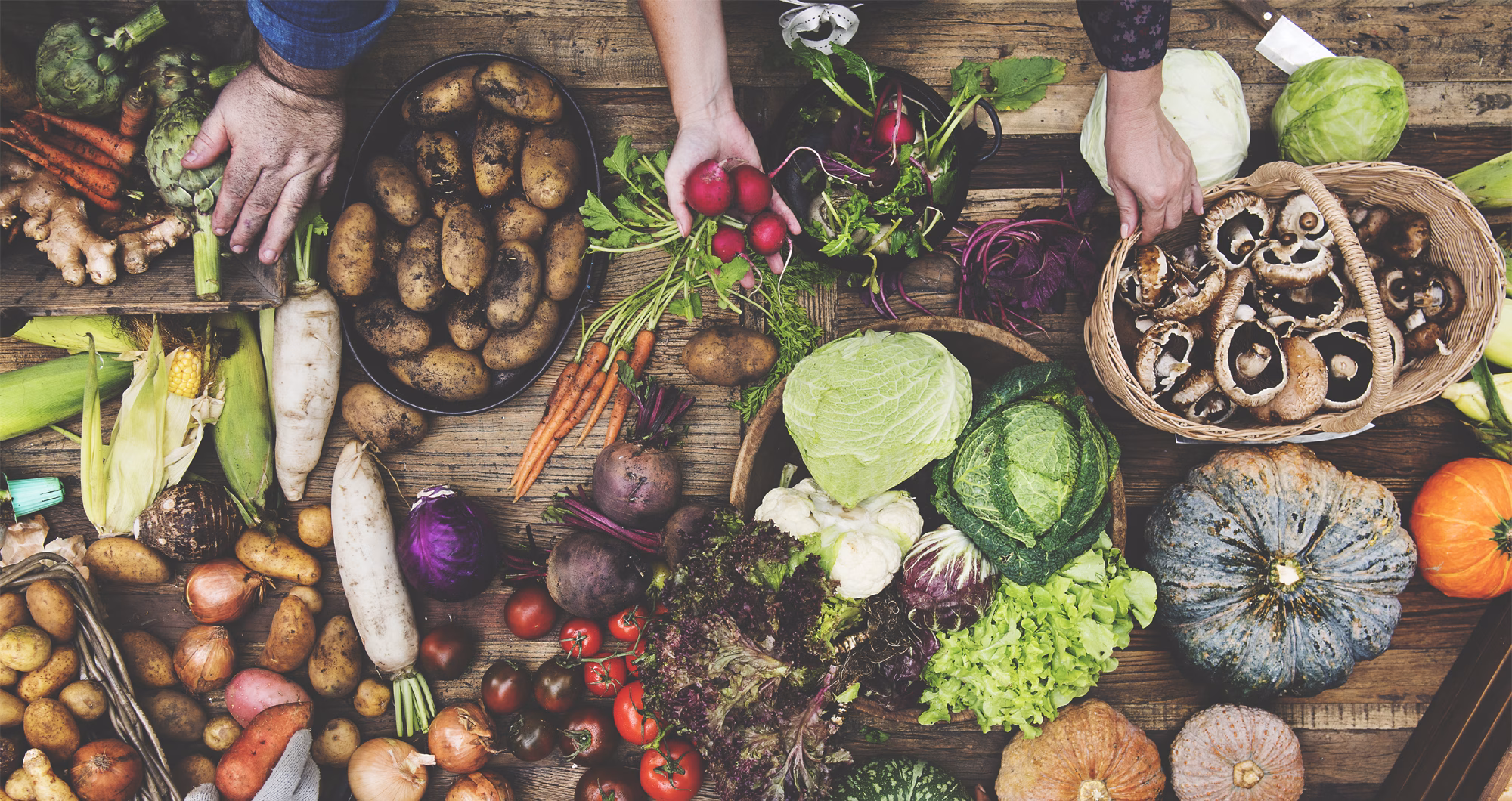 A report into the organic marketplace in 2025
