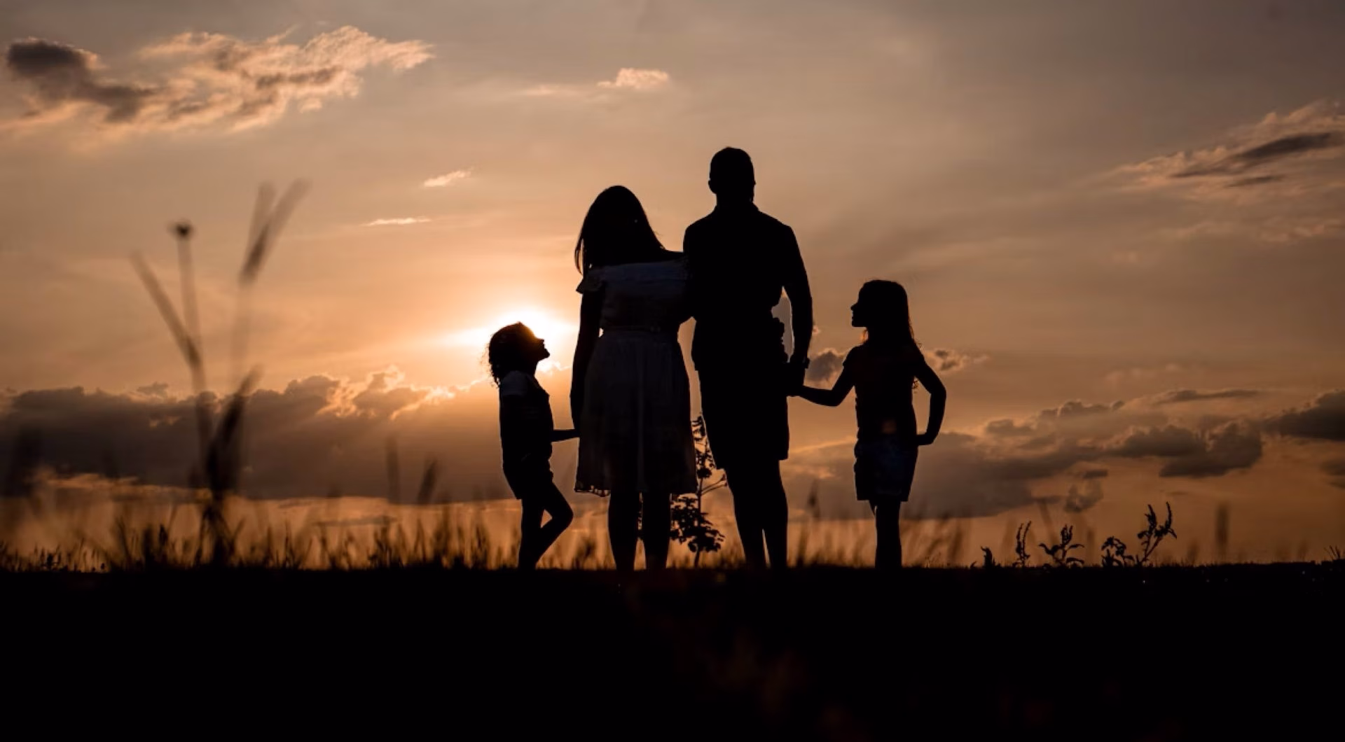 Benefits of family counselling and how it works