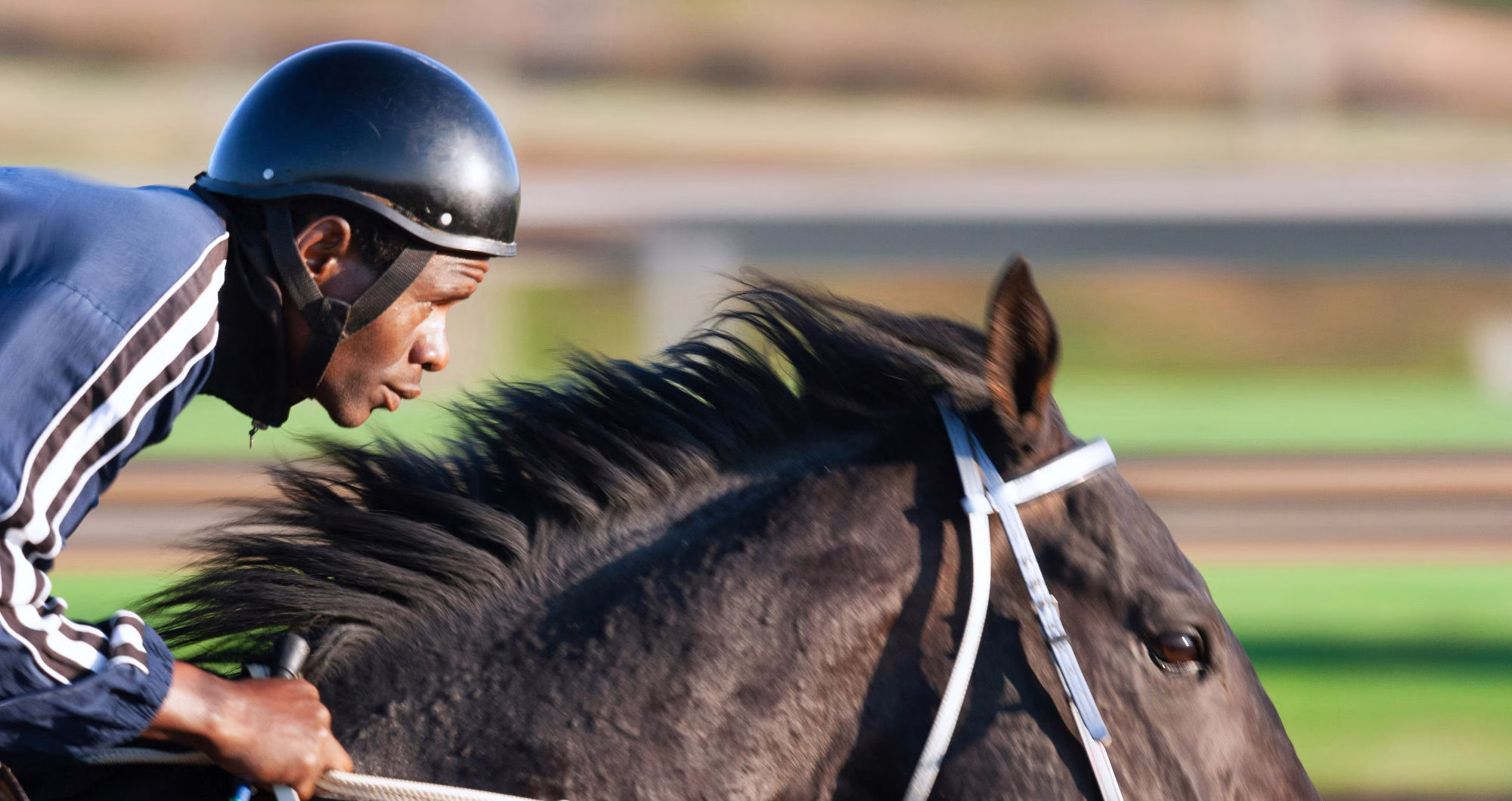 The origins of horse racing
