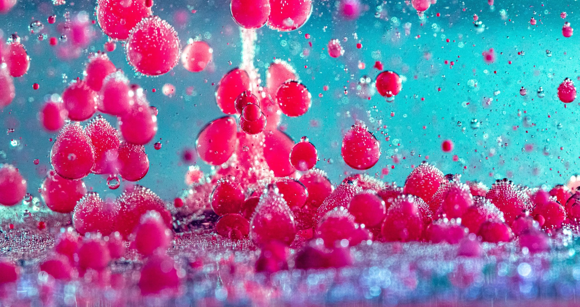 The dawn of a new era in cancer care: How AI and immunotherapy are changing lives