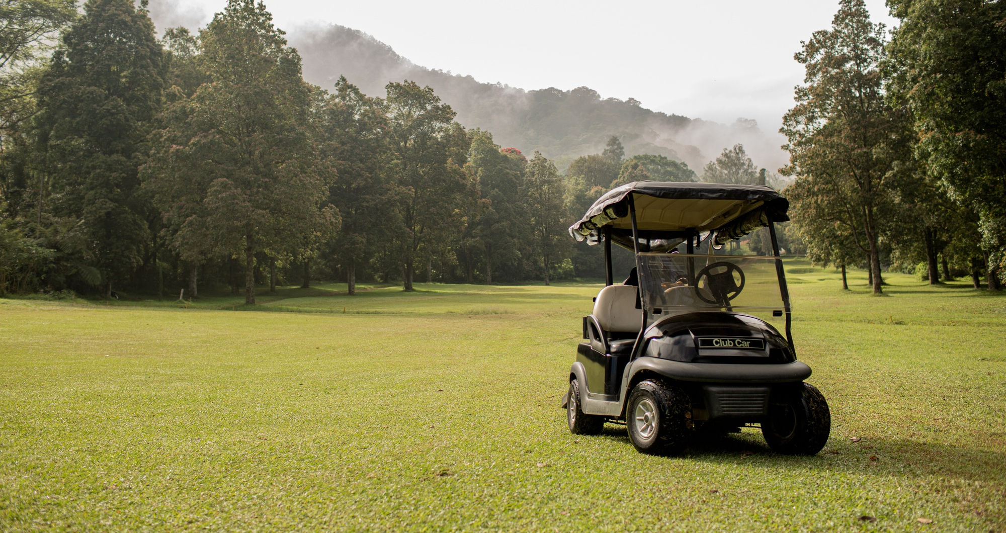 Golf cart battery market 2025–2030: Lithium-ion leads growth with LiTime’s 48V innovation