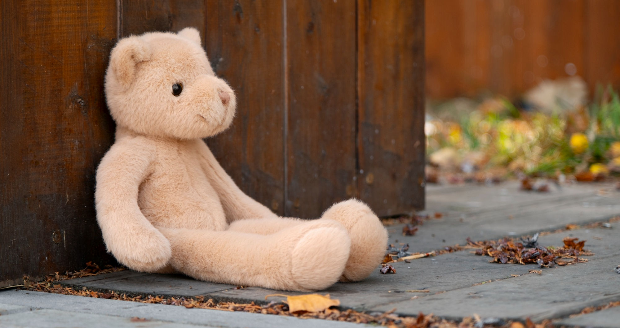Teddy bear pattern: Create your own or choose a Steiff Classic