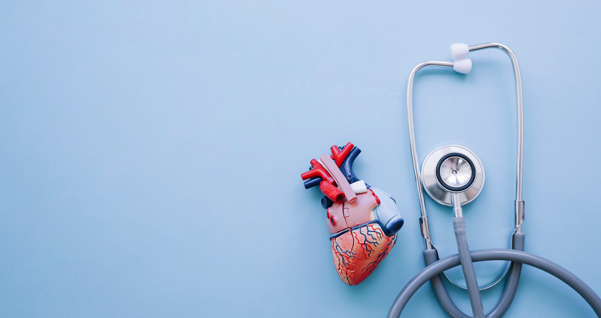 Cardiology and heart health essentials