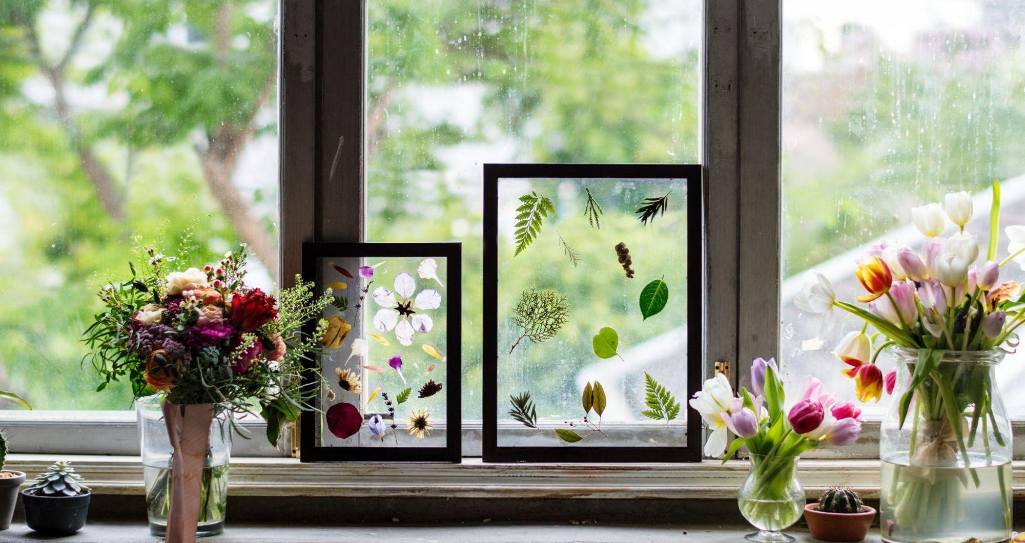 The reason European windows are worth the money: A guide to windows as a homeowner