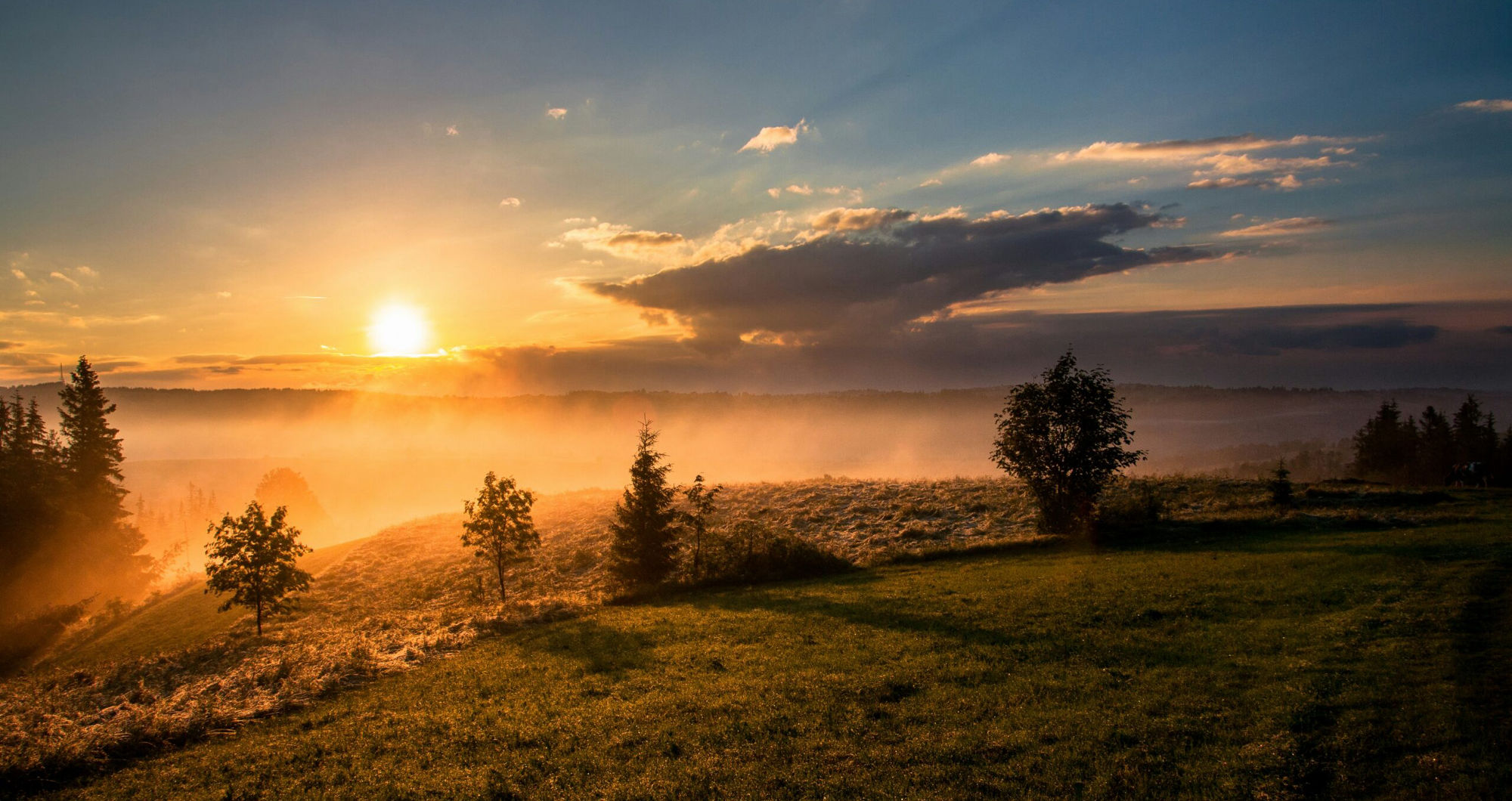Feeling low this January? Experts share simple ways to boost mood beyond Blue Monday
