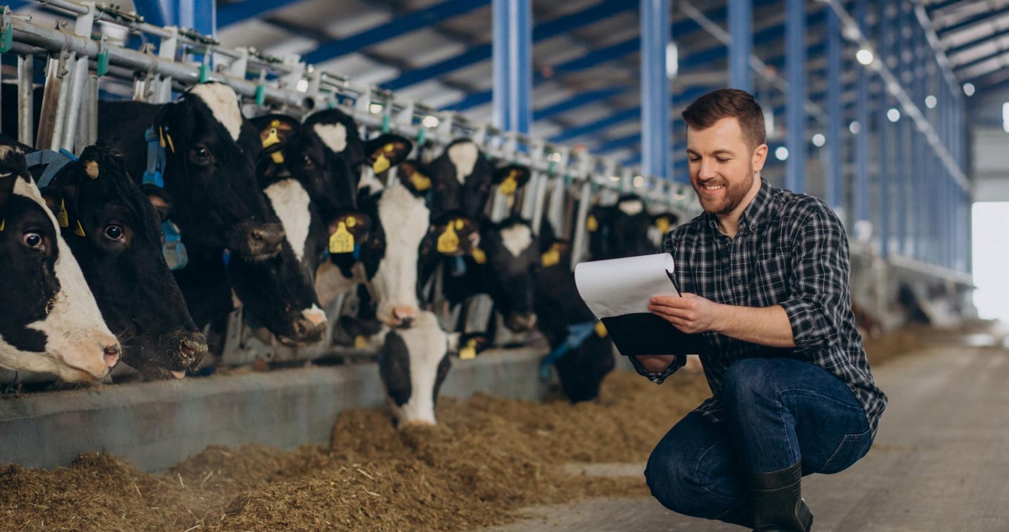 Sustainable dairy farming: The overlooked factor of ‘photoperiod’ management