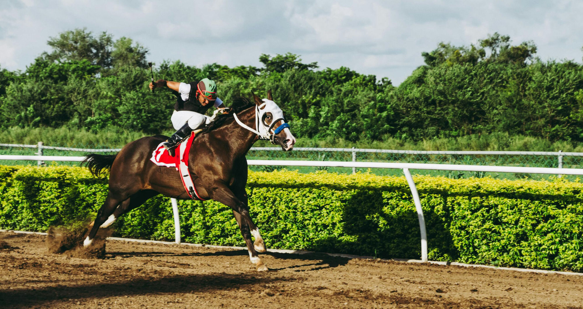 Lendon Racing Where to watch the biggest horse racing action near London | London ...