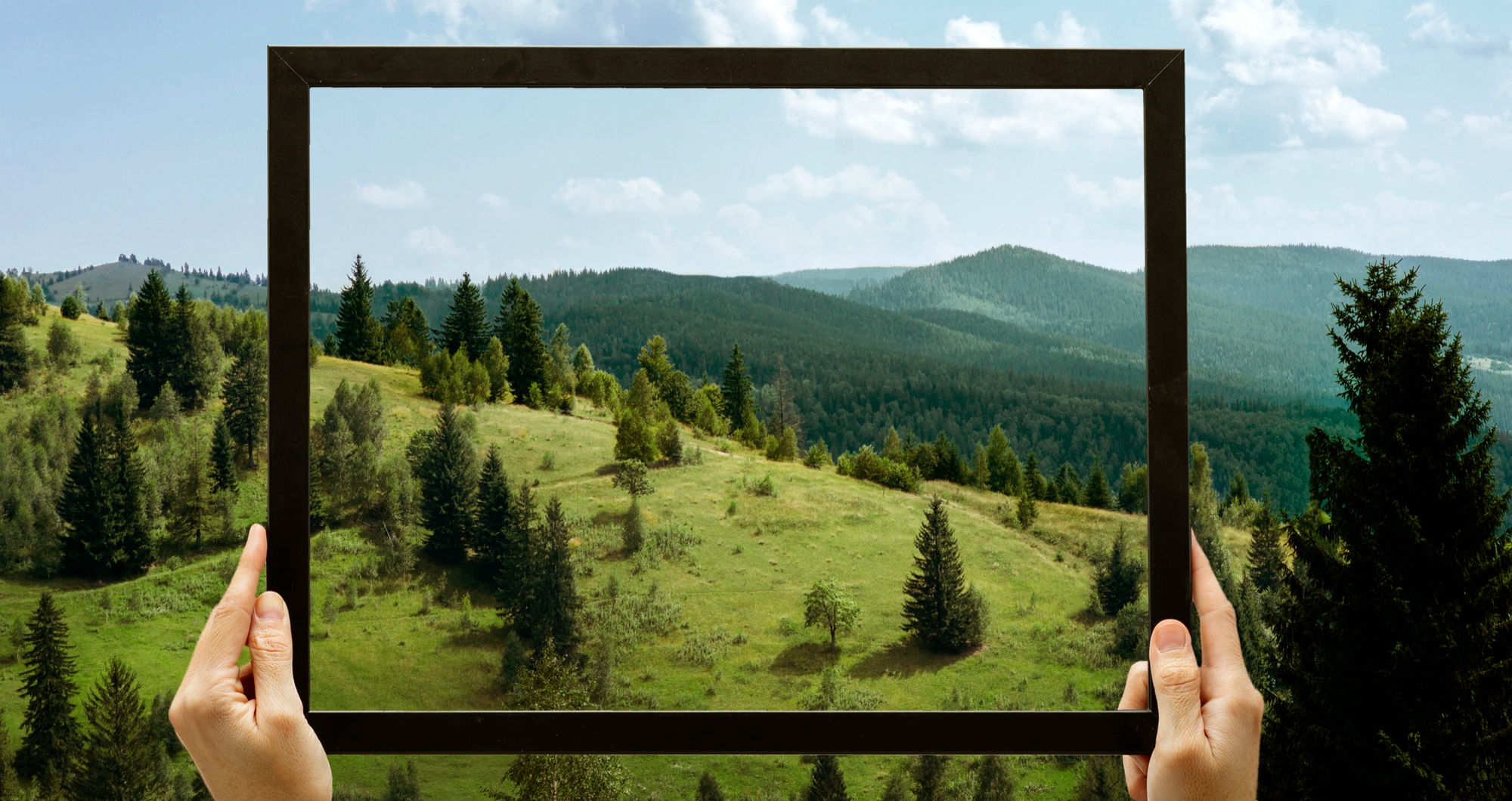 Forest green wall art: Dramatic nature vibes for statement walls