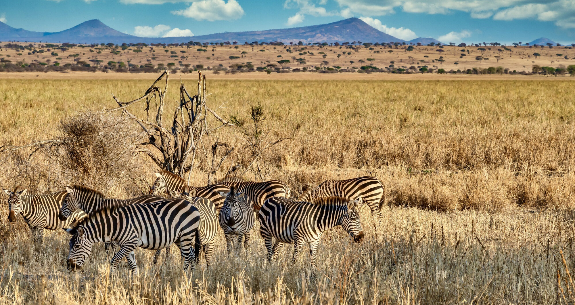 Navigating the land of a thousand hills: A British Traveller’s guide to driving in Rwanda