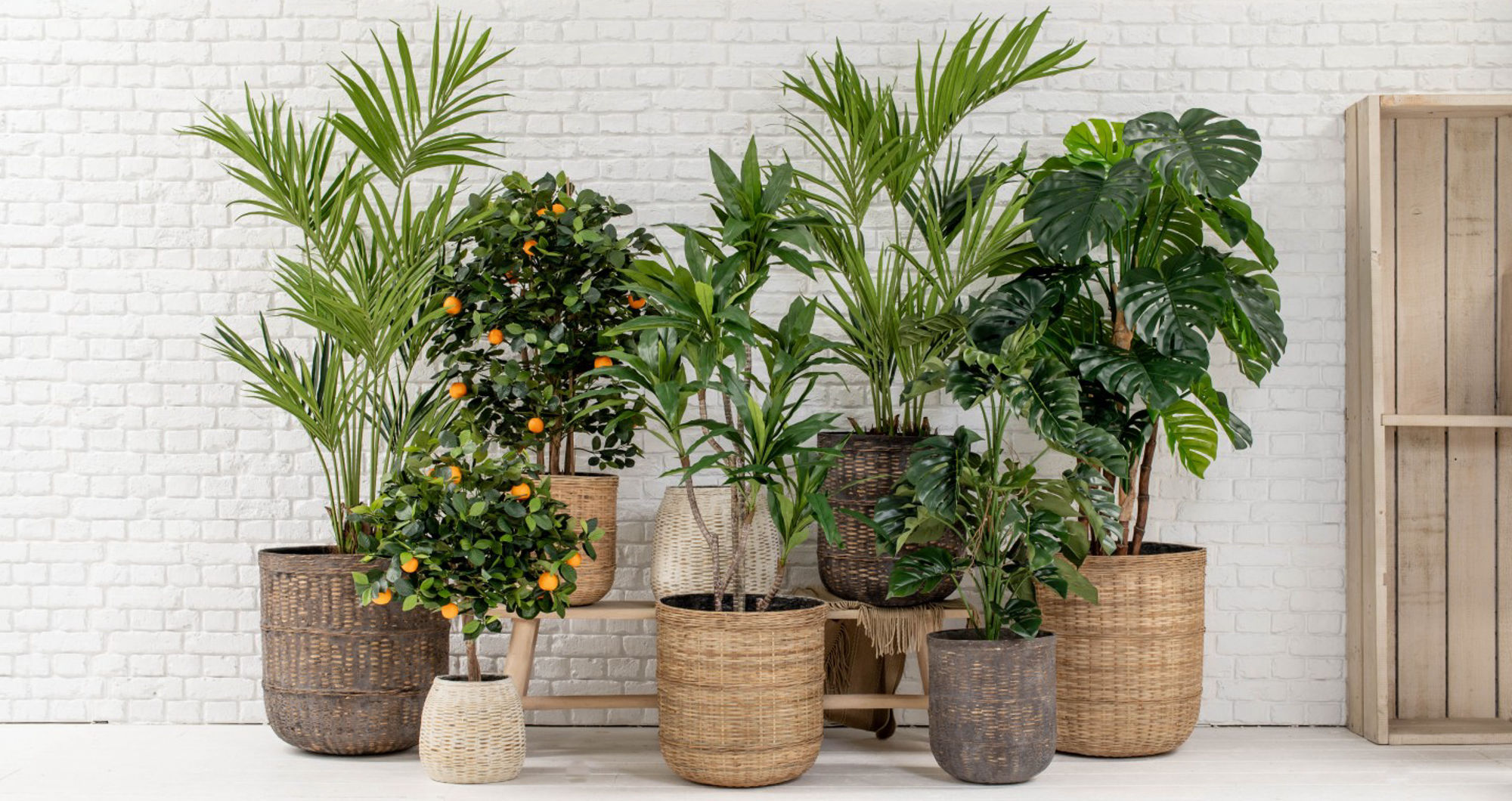 How Sustainable Faux Plants Are Transforming Modern Interior Design