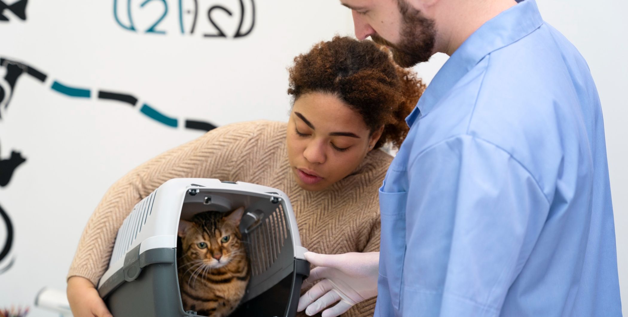 MT Auto Parts expands local support for cats and animal welfare in the community