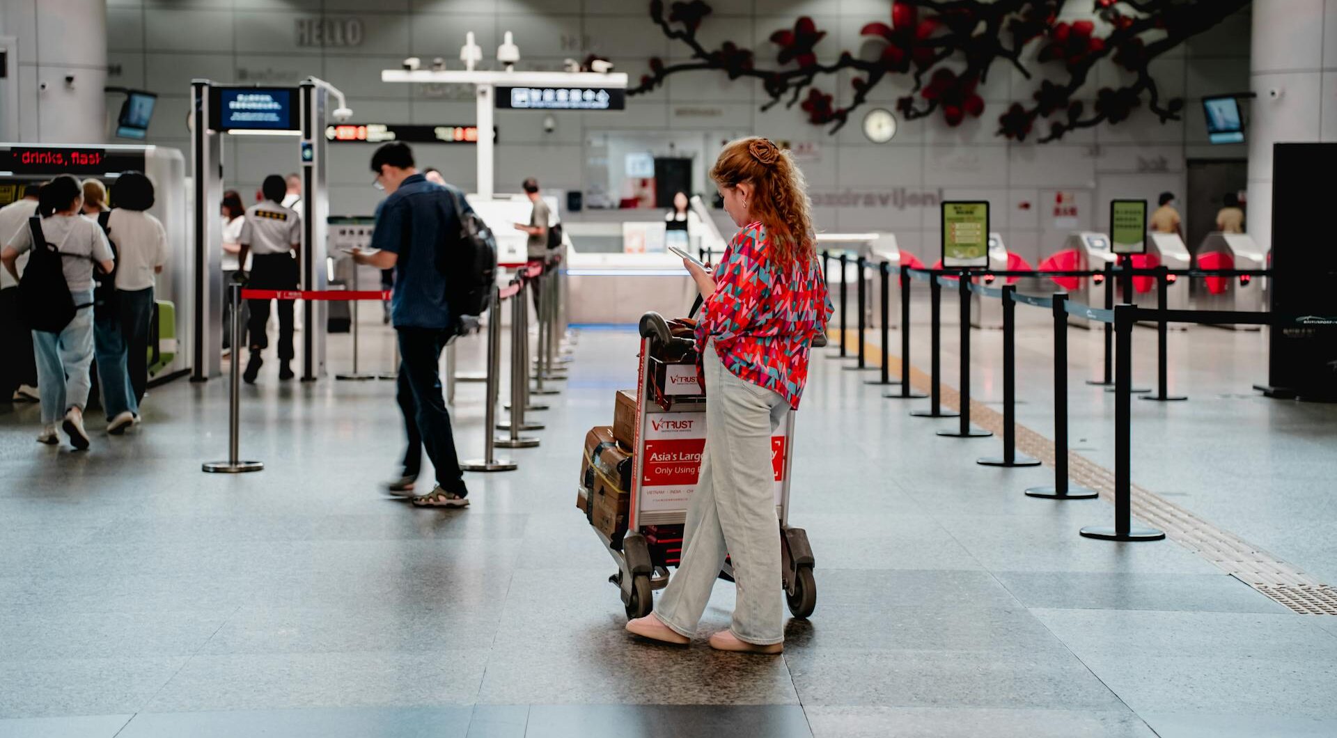 Kiwi.com refund guide: Process, eligibility and what travellers should know