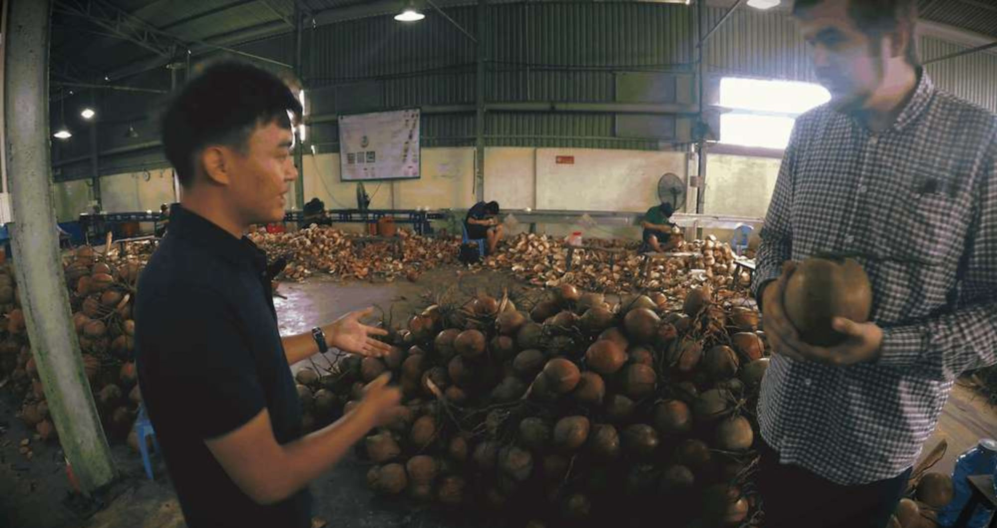 Inside the Vietnam–UK supply chain moving fresh coconuts onto British shelves